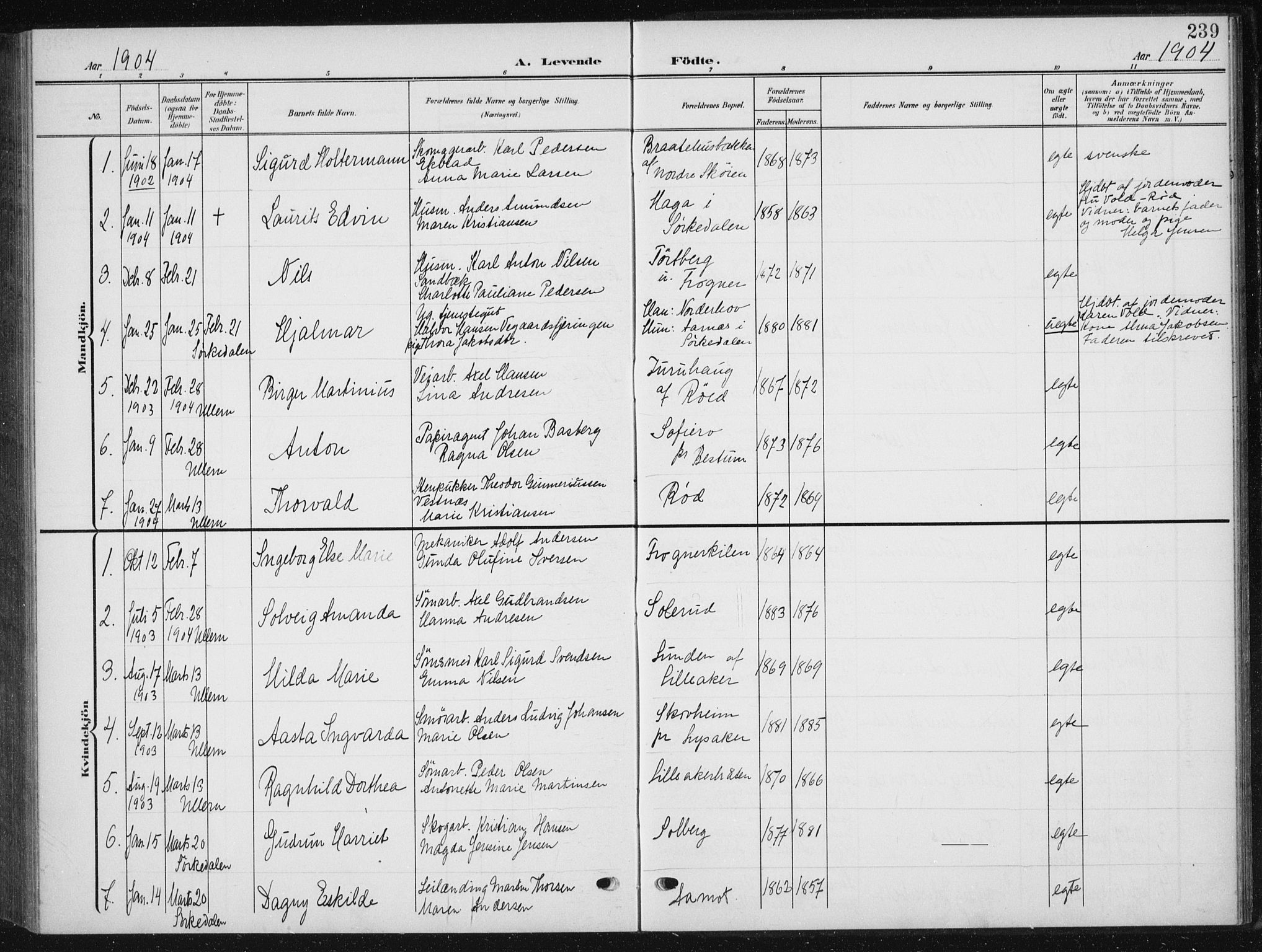 Vestre Aker prestekontor Kirkebøker, AV/SAO-A-10025/F/Fb/L0001: Parish register (official) no. II 1, 1880-1906, p. 239