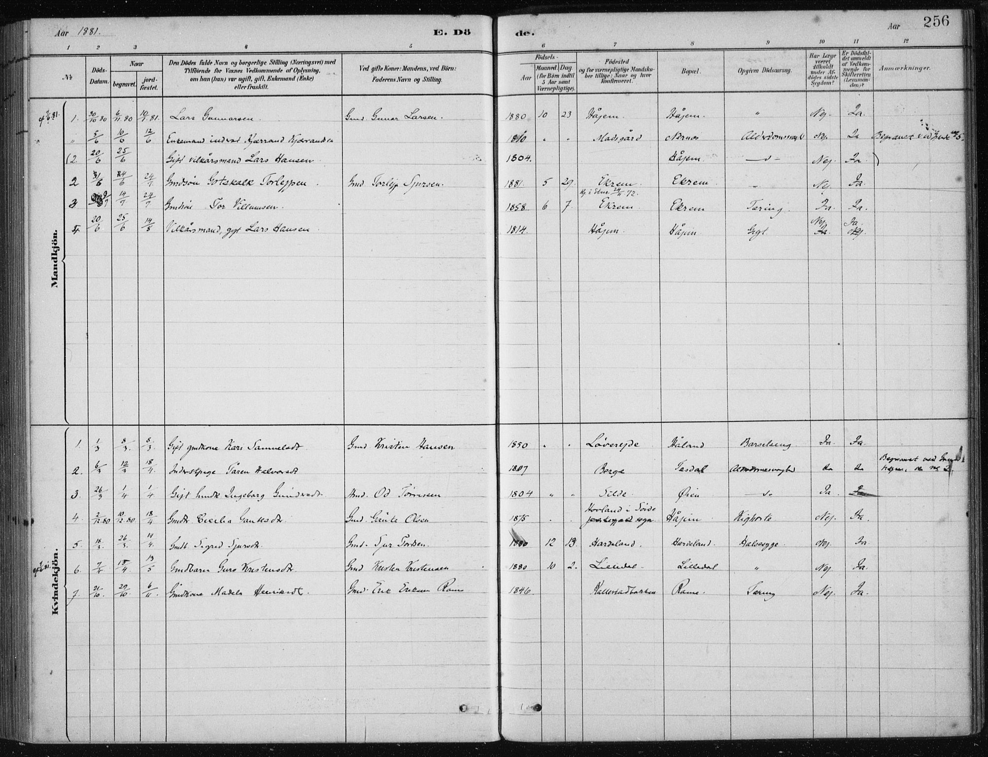 Etne sokneprestembete, SAB/A-75001/H/Haa: Parish register (official) no. D  1, 1879-1919, p. 256