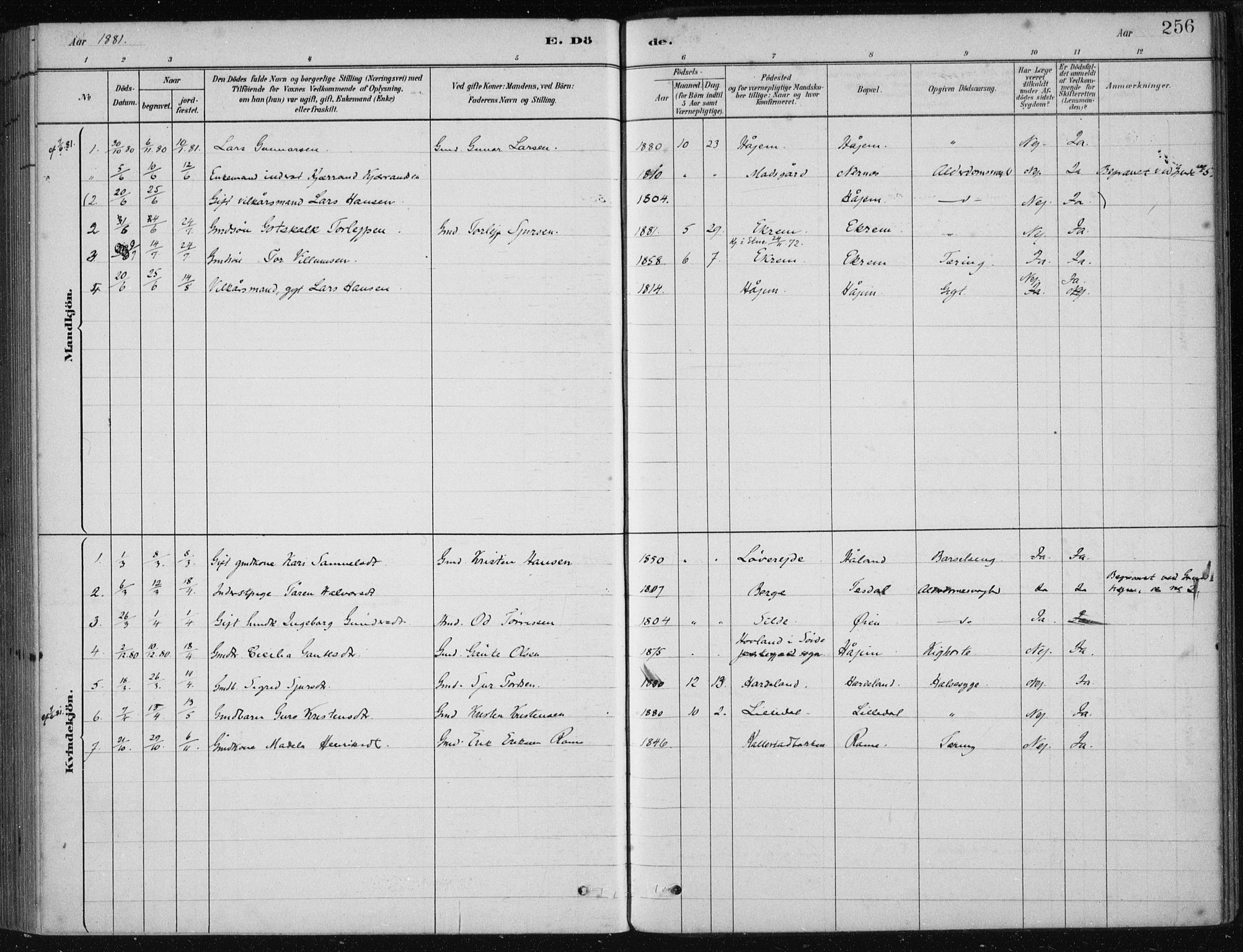 Etne sokneprestembete, AV/SAB-A-75001/H/Haa: Parish register (official) no. D  1, 1879-1919, p. 256