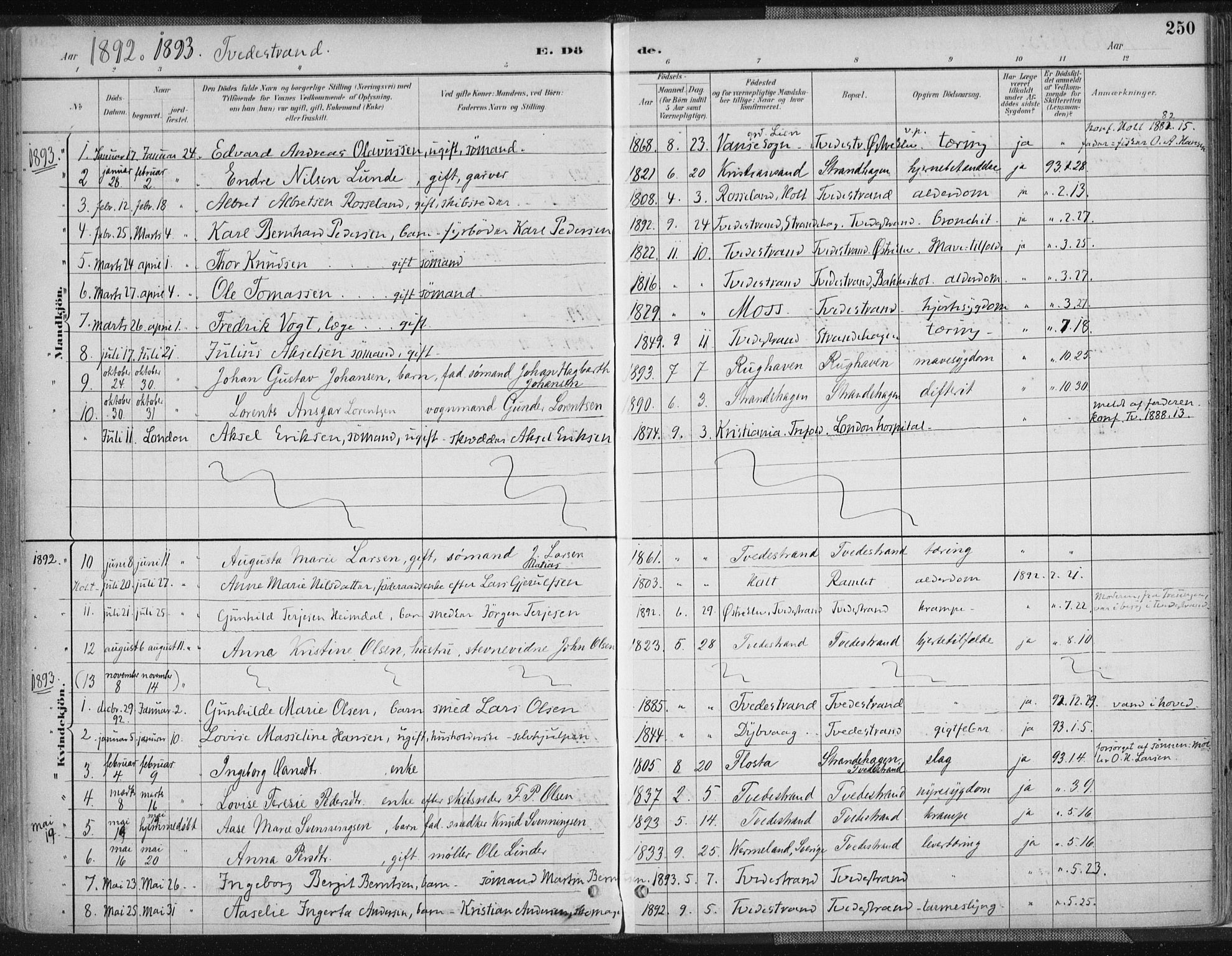 Tvedestrand sokneprestkontor, SAK/1111-0042/F/Fa/L0001: Parish register (official) no. A 1, 1885-1916, p. 250