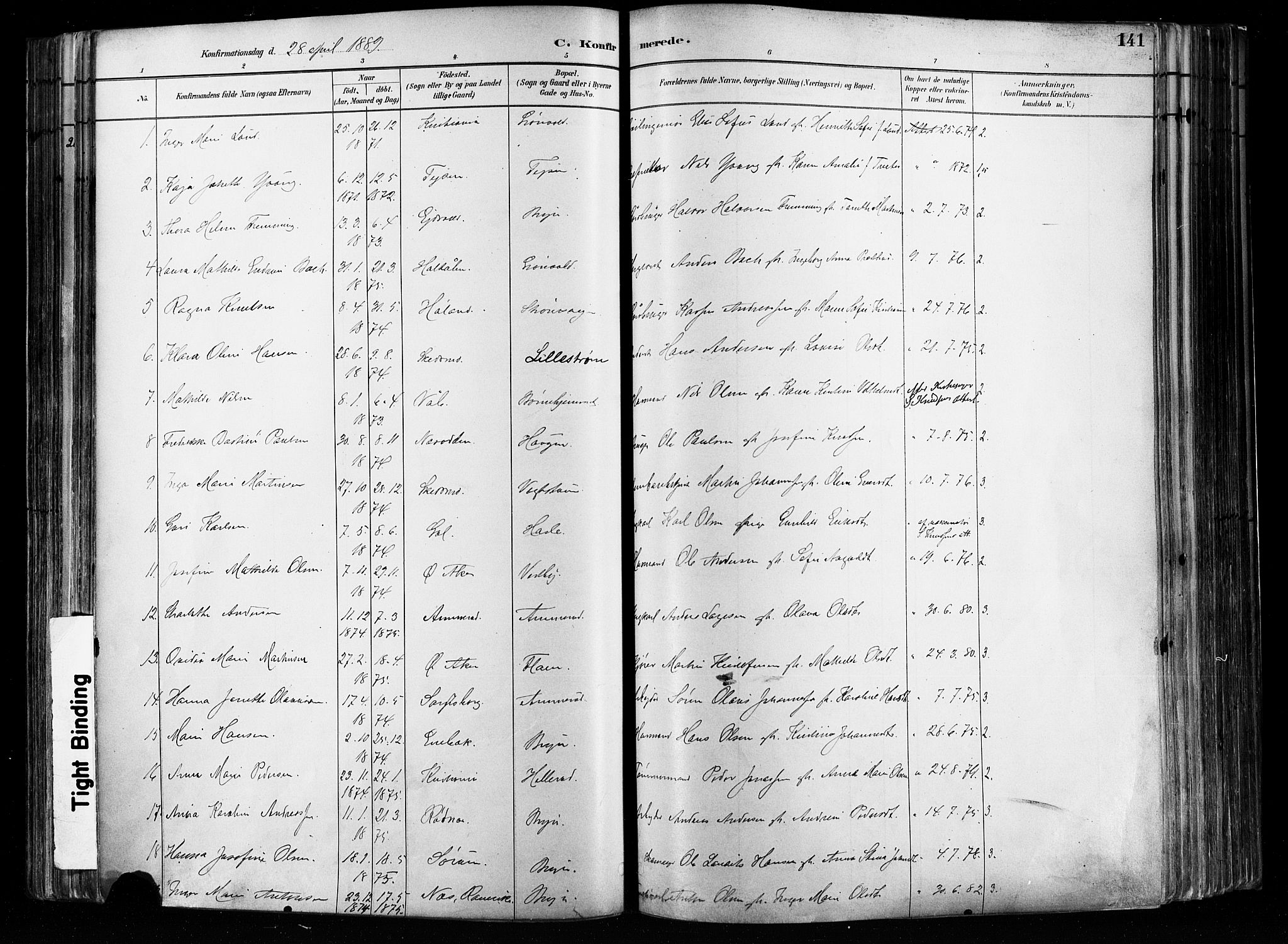 Østre Aker prestekontor Kirkebøker, SAO/A-10840/F/Fa/L0008: Parish register (official) no. I 8, 1883-1894, p. 141