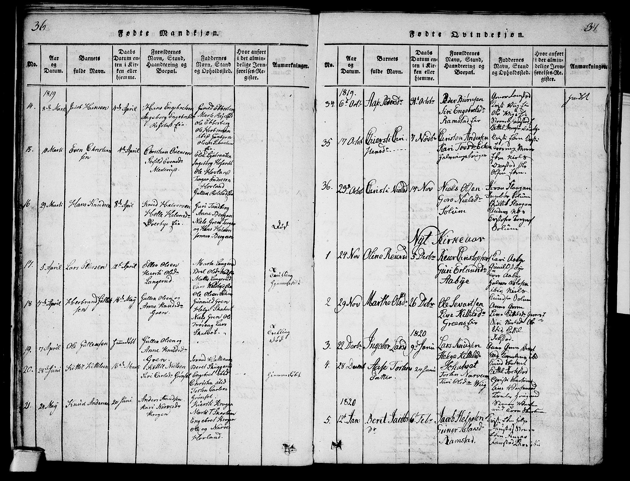 Sigdal kirkebøker, AV/SAKO-A-245/G/Ga/L0001: Parish register (copy) no. I 1 /1, 1816-1835, p. 36-37