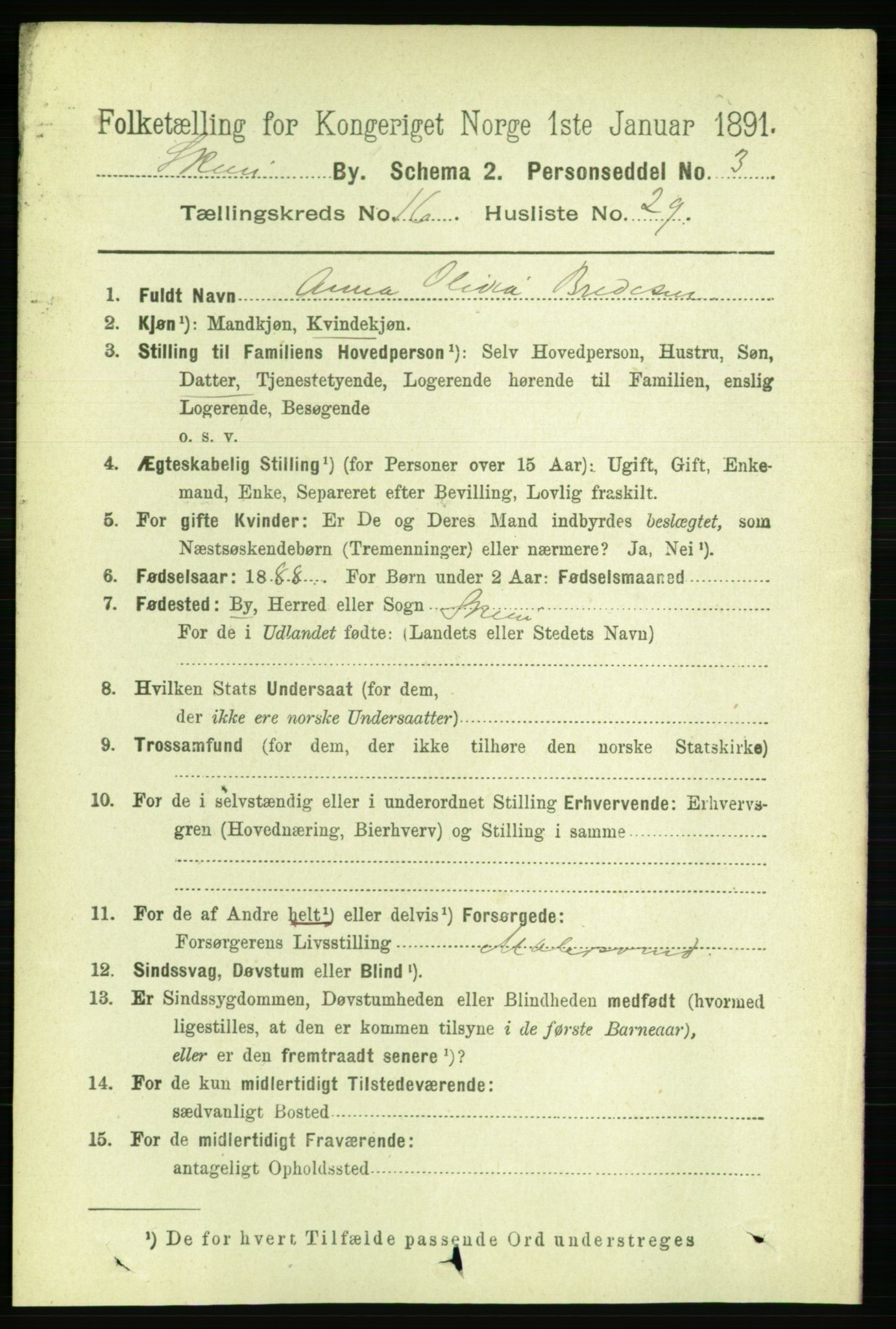 RA, 1891 census for 0806 Skien, 1891, p. 4806