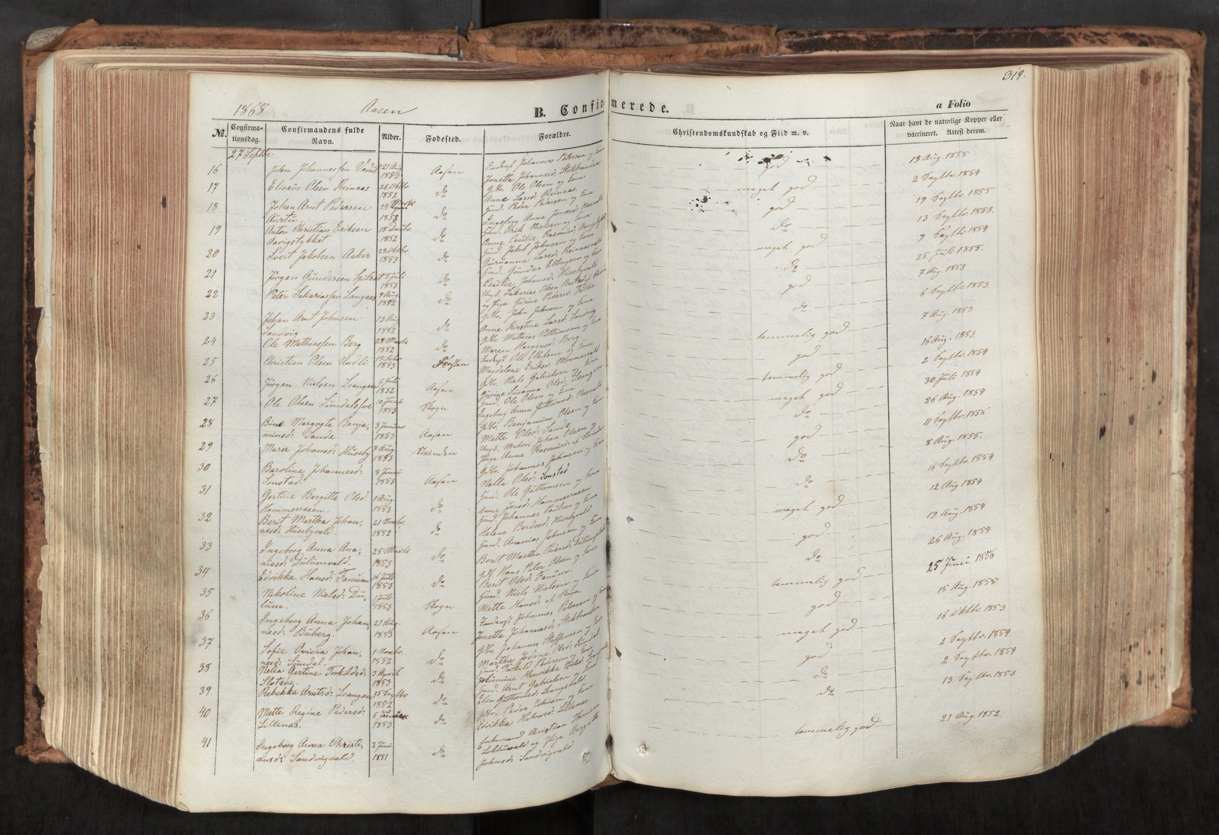 Ministerialprotokoller, klokkerbøker og fødselsregistre - Nord-Trøndelag, AV/SAT-A-1458/713/L0116: Parish register (official) no. 713A07, 1850-1877, p. 319