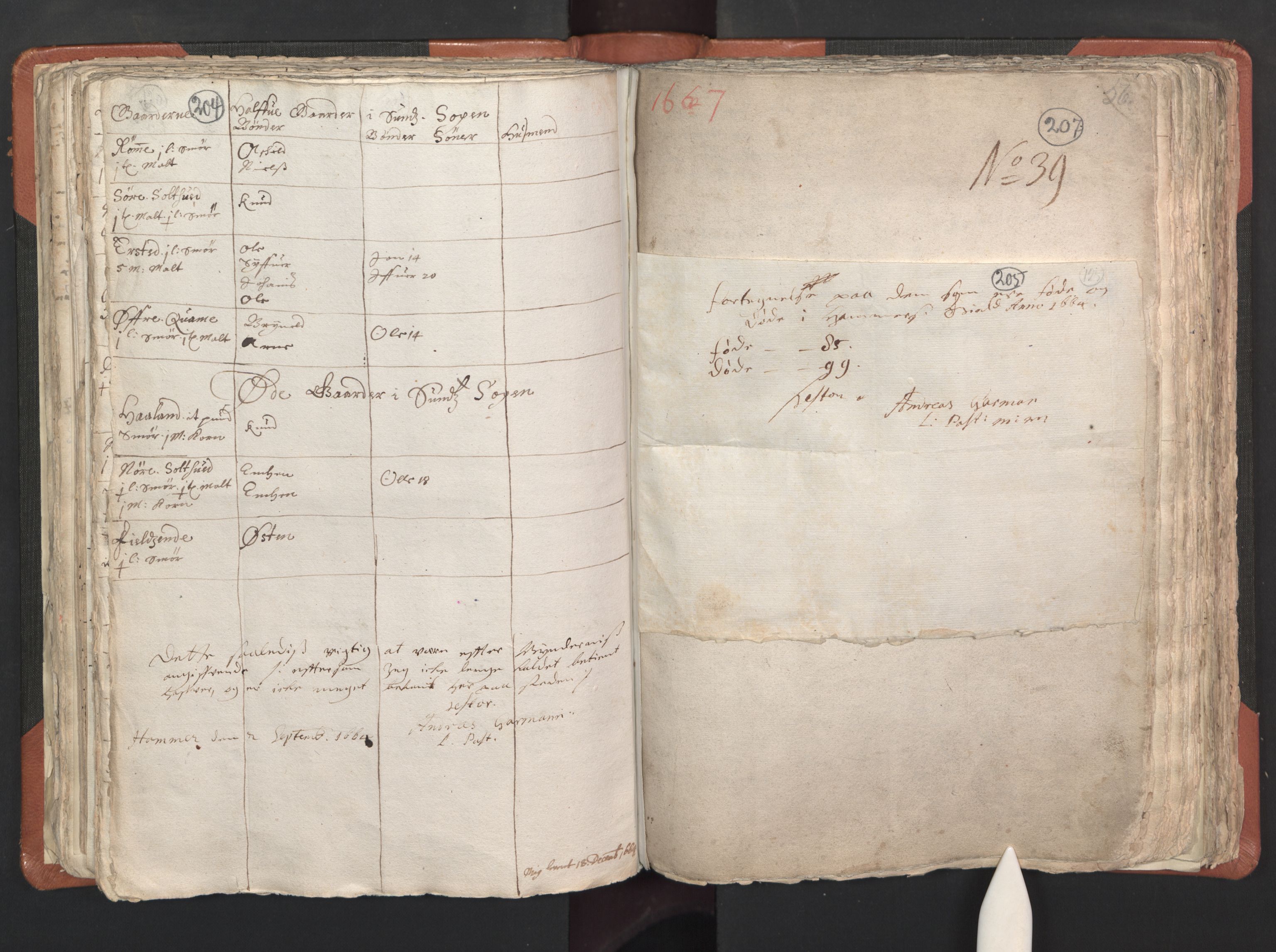 RA, Vicar's Census 1664-1666, no. 22: Nordhordland deanery, 1664-1666, p. 204-205