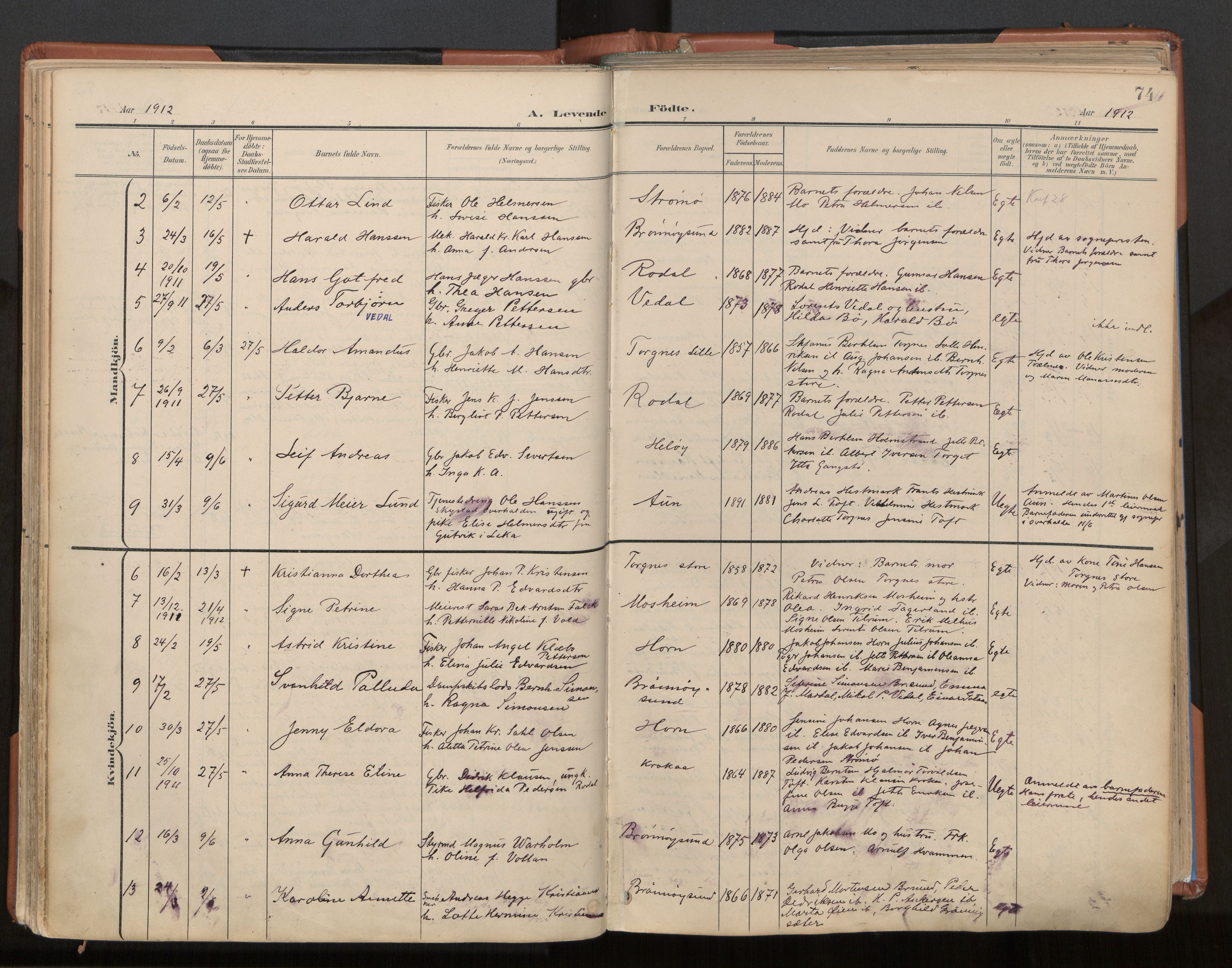 Ministerialprotokoller, klokkerbøker og fødselsregistre - Nordland, AV/SAT-A-1459/813/L0201: Parish register (official) no. 813A11, 1901-1918, p. 74