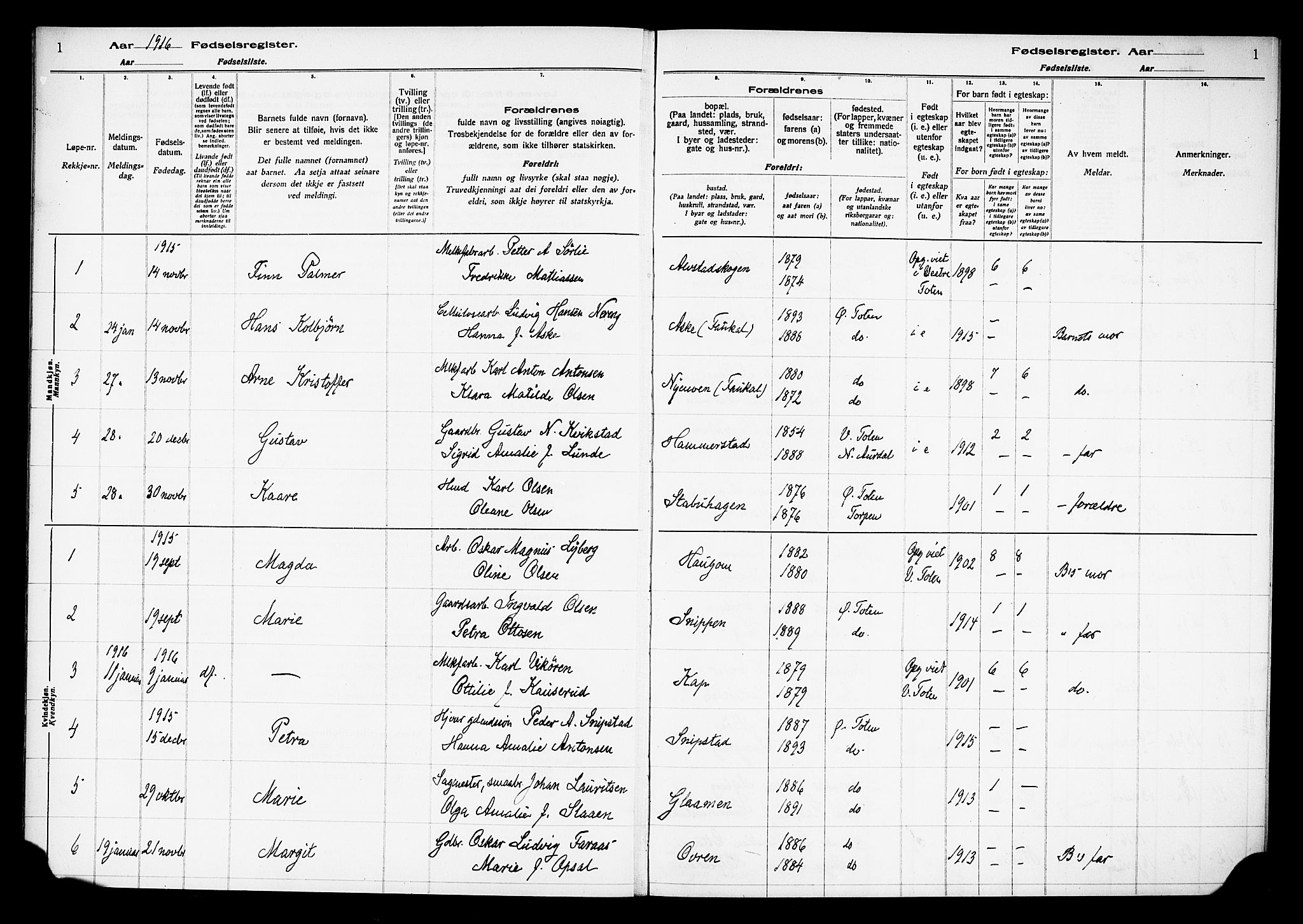 Østre Toten prestekontor, AV/SAH-PREST-104/I/Id/L0001/0001: Birth register no. 1.1, 1916-1928, p. 1