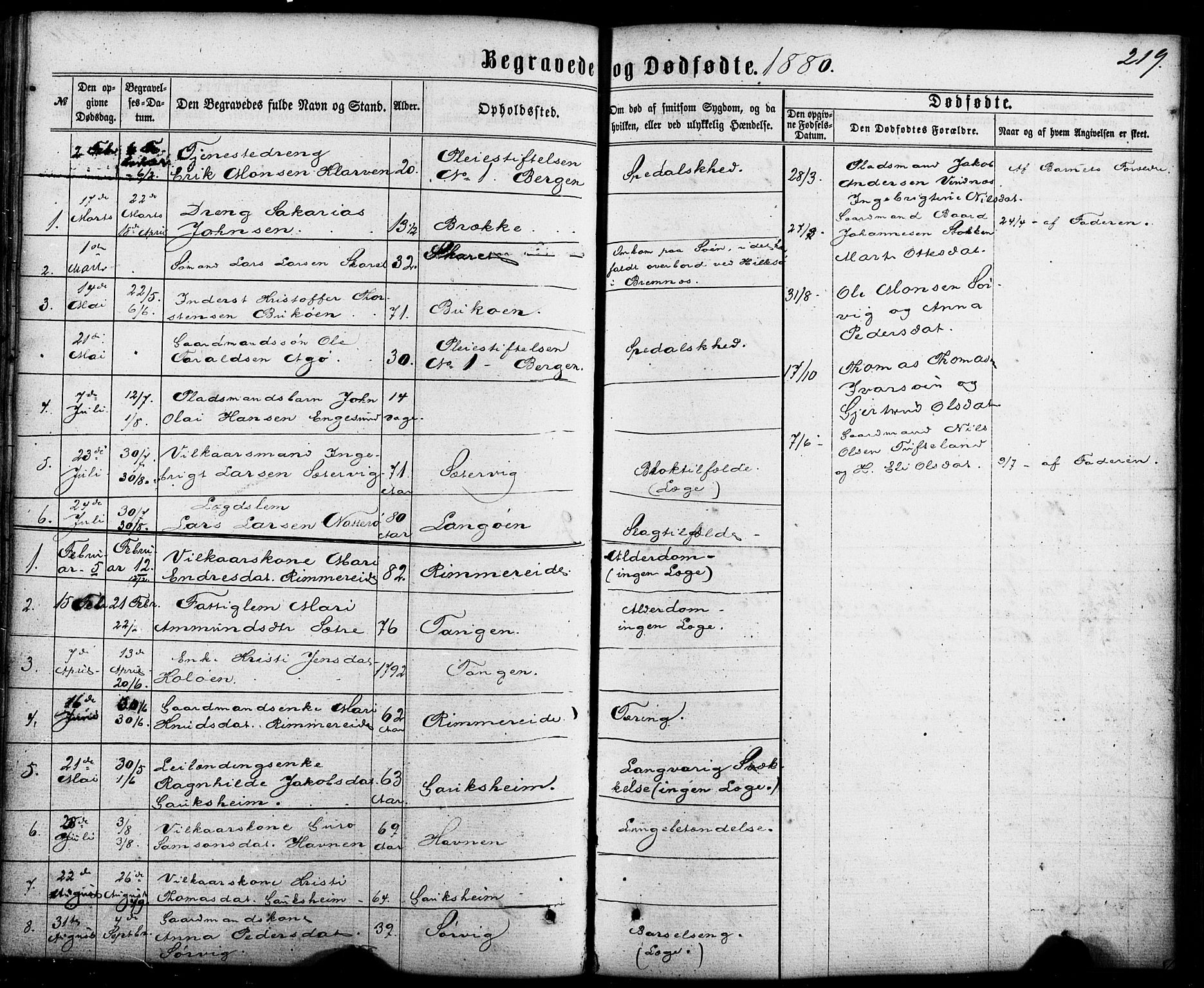 Fitjar sokneprestembete, SAB/A-99926: Parish register (official) no. A 1, 1862-1881, p. 219