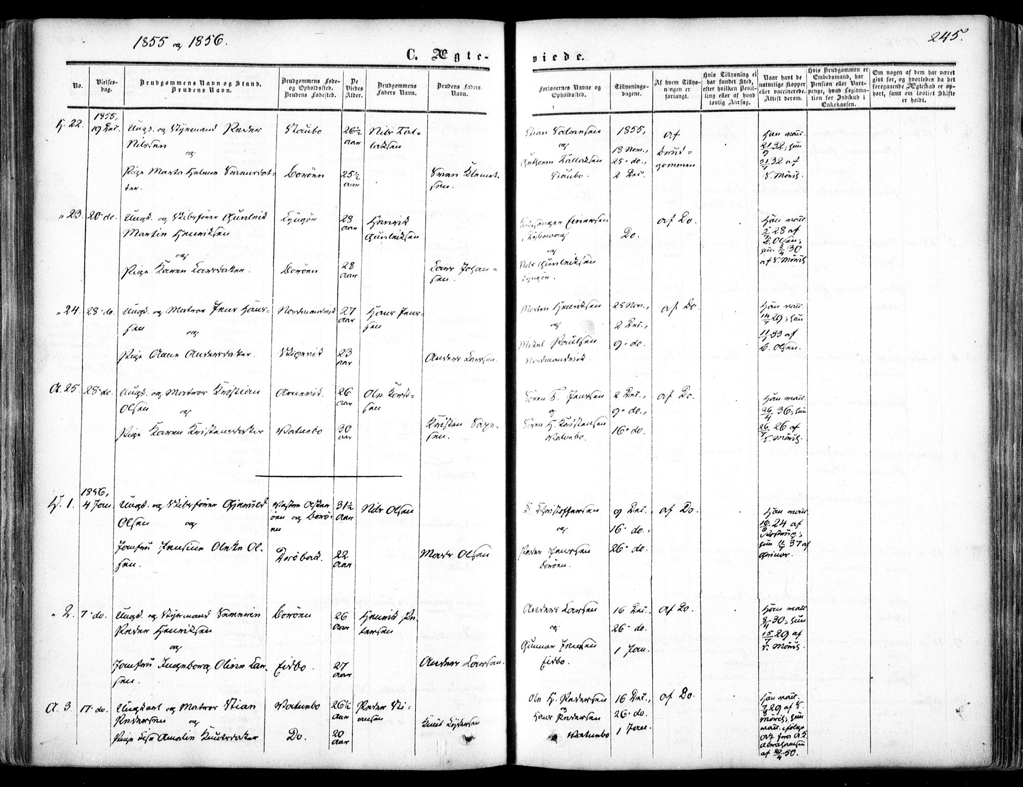 Dypvåg sokneprestkontor, SAK/1111-0007/F/Fa/Faa/L0006: Parish register (official) no. A 6, 1855-1872, p. 245