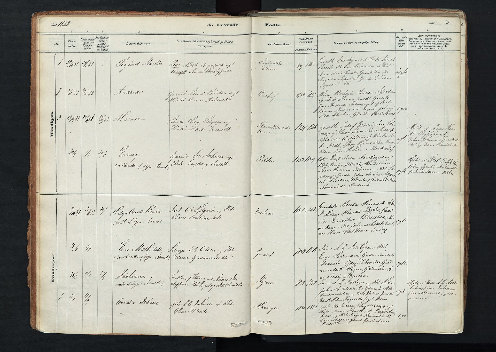 Trysil prestekontor, AV/SAH-PREST-046/H/Ha/Haa/L0011: Parish register (official) no. 11, 1878-1912, p. 13