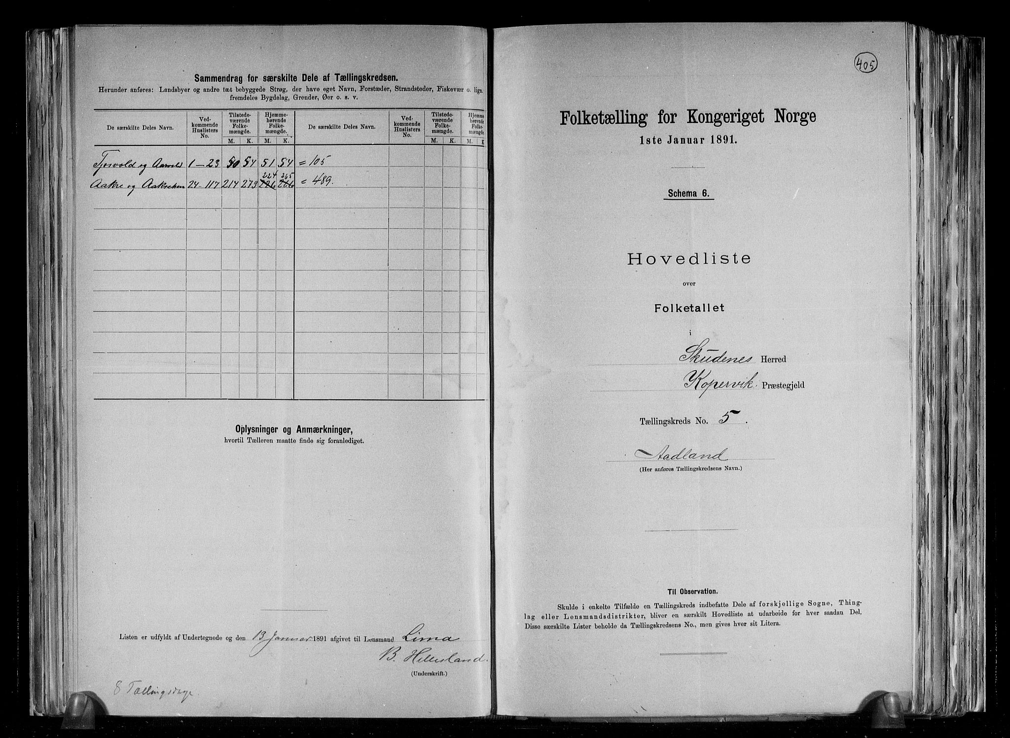 RA, 1891 census for 1150 Skudenes, 1891, p. 19