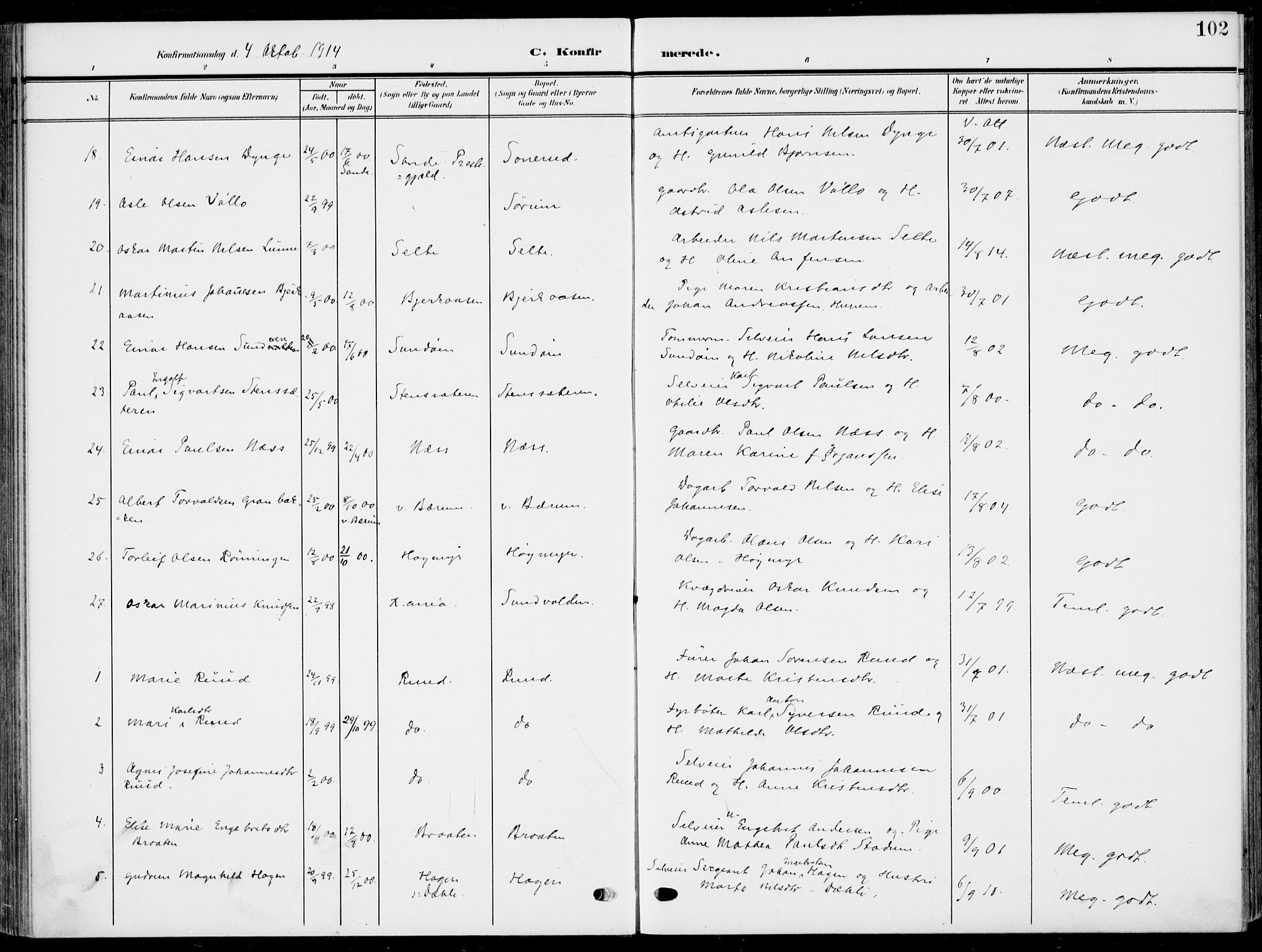 Hole kirkebøker, SAKO/A-228/F/Fa/L0010: Parish register (official) no. I 10, 1907-1917, p. 102