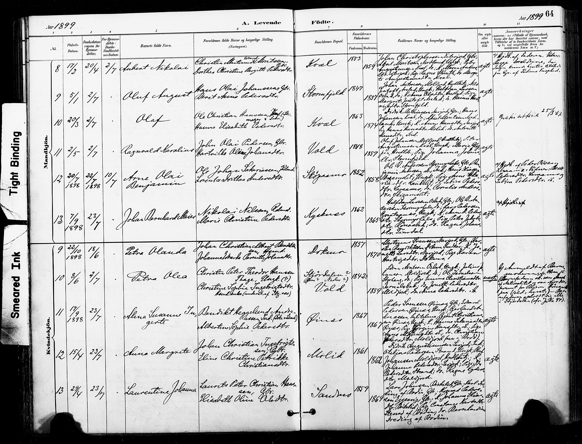 Ministerialprotokoller, klokkerbøker og fødselsregistre - Nordland, AV/SAT-A-1459/846/L0646: Parish register (official) no. 846A04, 1887-1901, p. 64