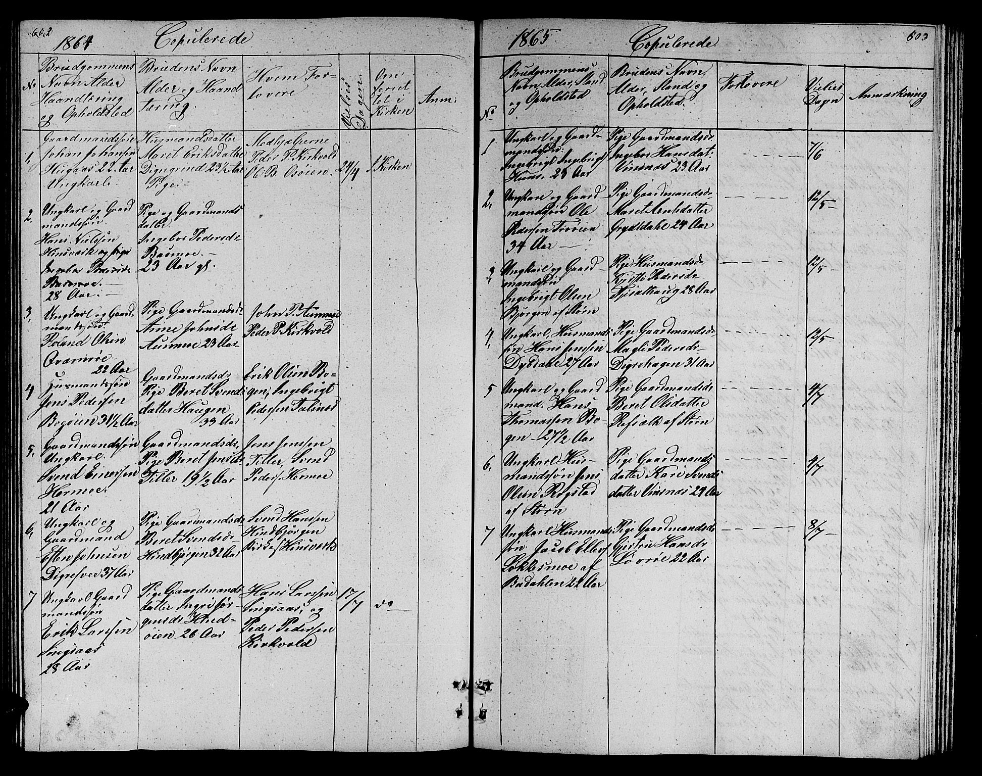 Ministerialprotokoller, klokkerbøker og fødselsregistre - Sør-Trøndelag, SAT/A-1456/688/L1027: Parish register (copy) no. 688C02, 1861-1889, p. 602-603