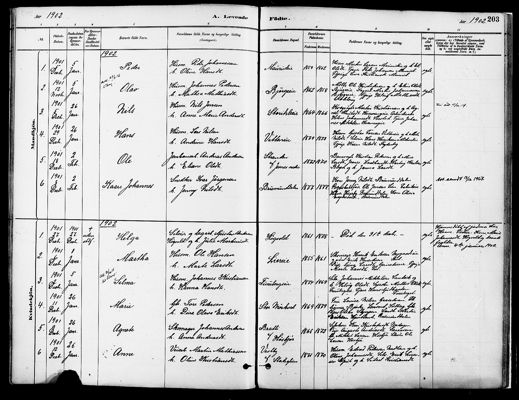 Vang prestekontor, Hedmark, SAH/PREST-008/H/Ha/Haa/L0018A: Parish register (official) no. 18A, 1880-1906, p. 203