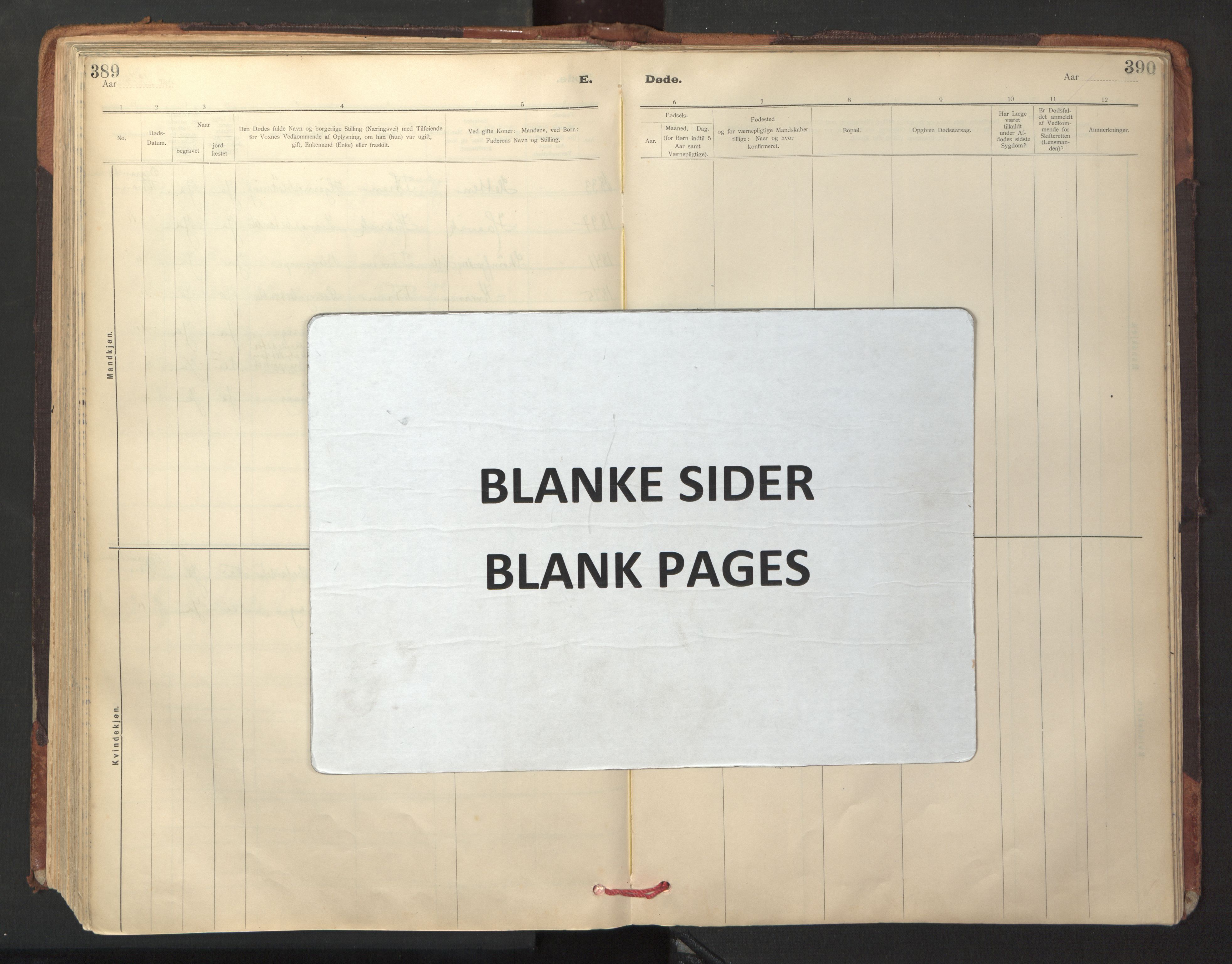 Ministerialprotokoller, klokkerbøker og fødselsregistre - Sør-Trøndelag, AV/SAT-A-1456/641/L0596: Parish register (official) no. 641A02, 1898-1915, p. 389-390