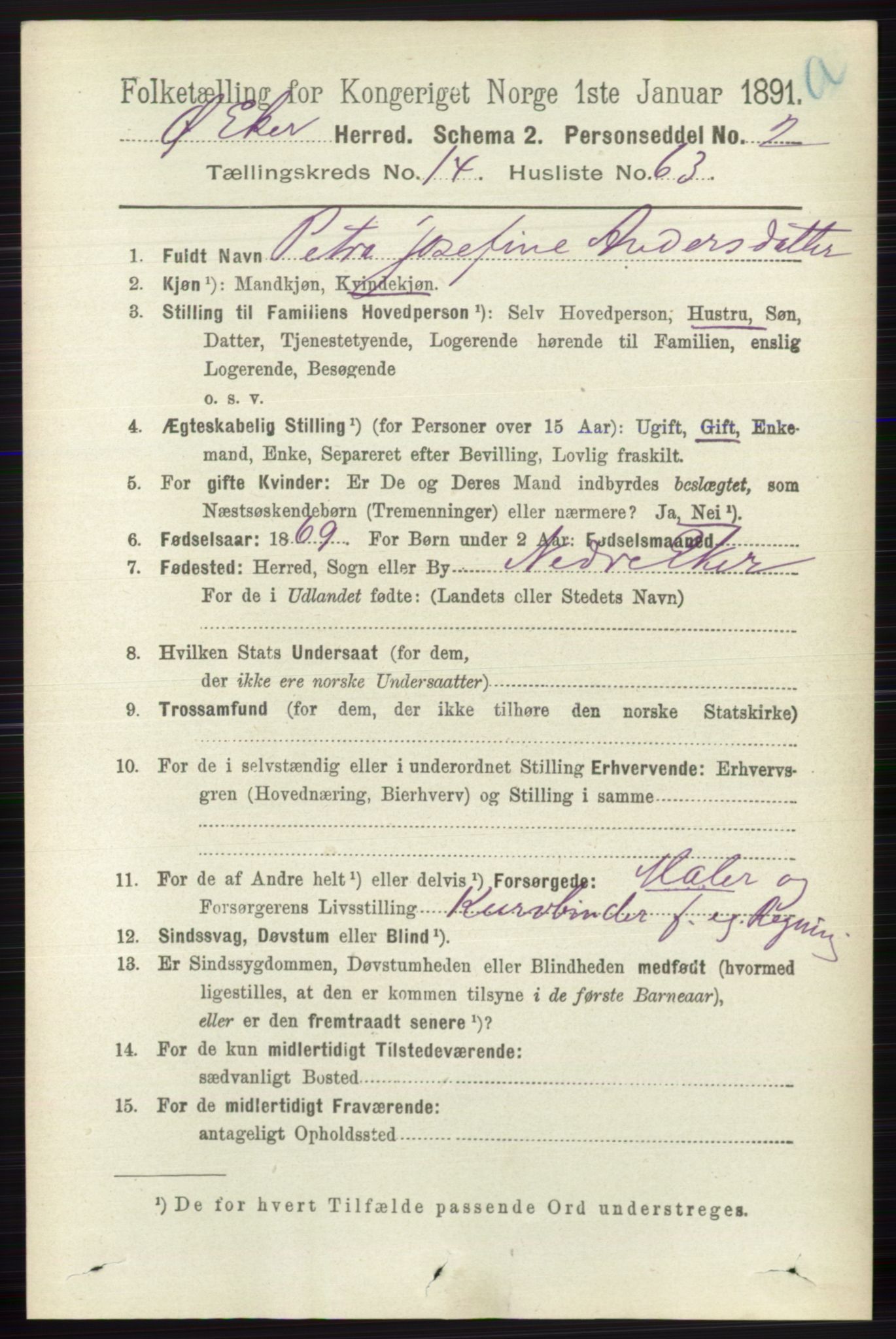 RA, 1891 census for 0624 Øvre Eiker, 1891, p. 6845