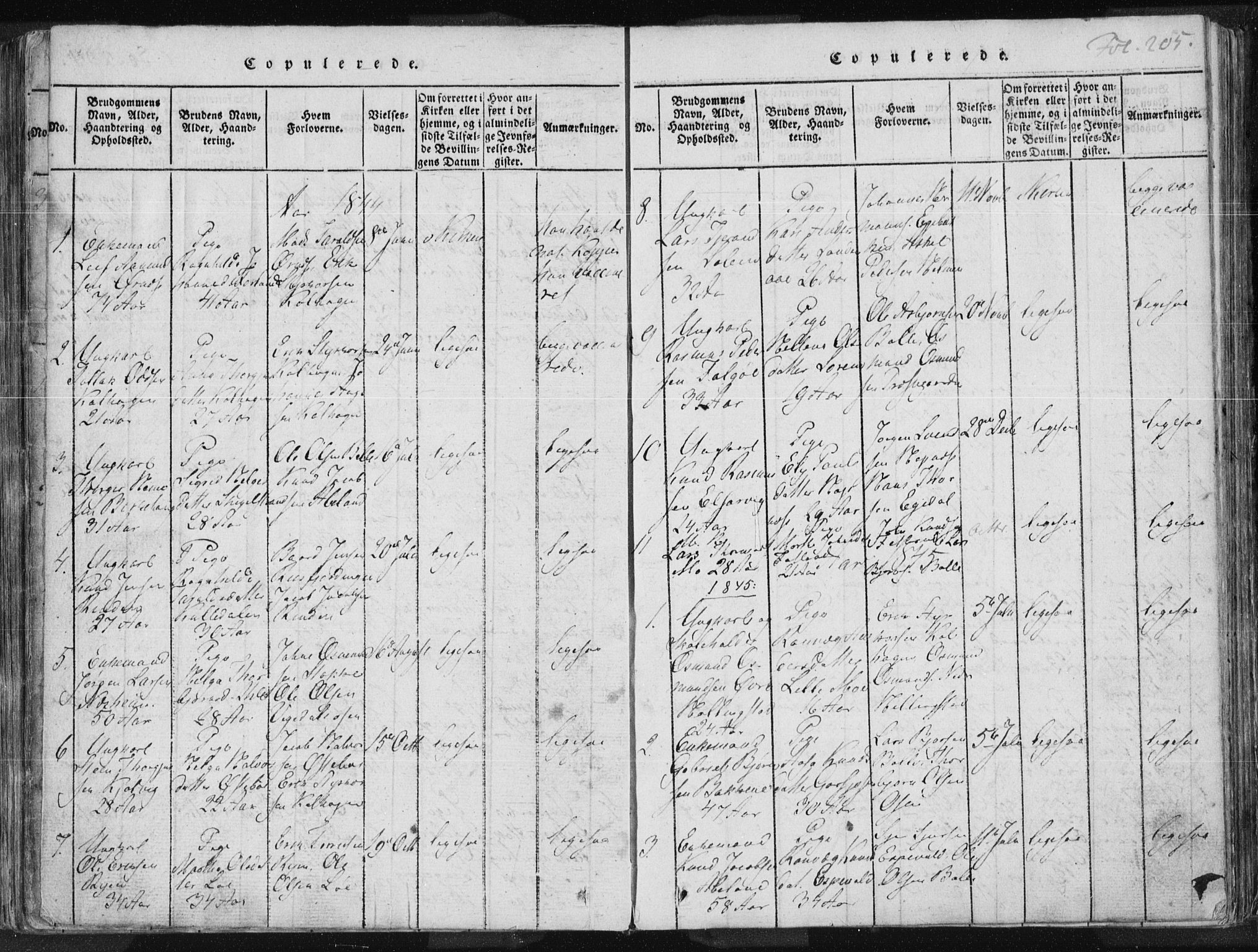 Vikedal sokneprestkontor, AV/SAST-A-101840/01/IV: Parish register (official) no. A 3, 1817-1850, p. 205