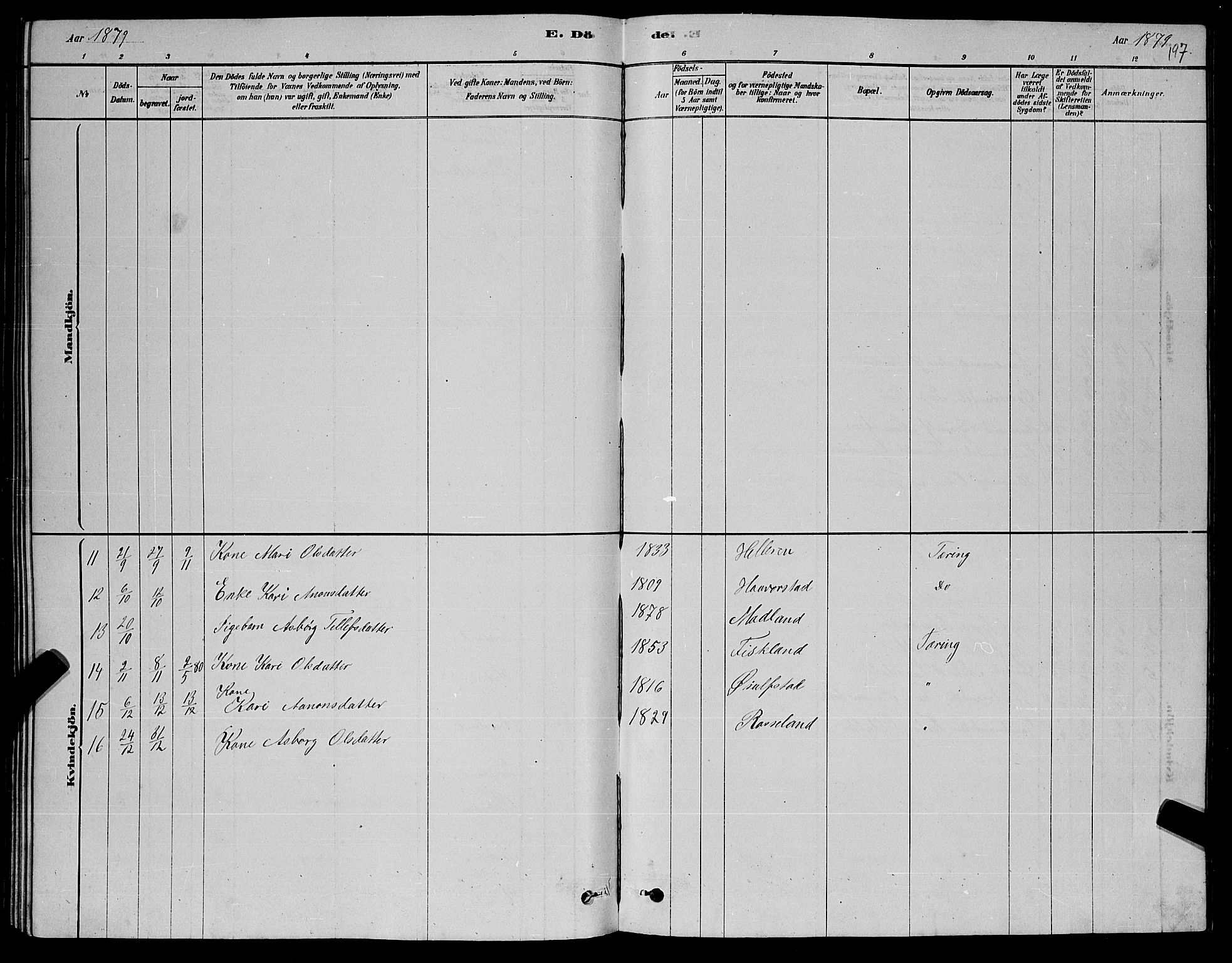 Åseral sokneprestkontor, AV/SAK-1111-0051/F/Fb/L0002: Parish register (copy) no. B 2, 1878-1899, p. 197