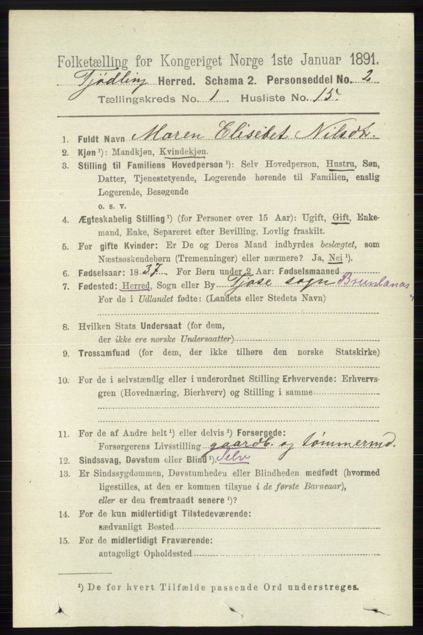 RA, 1891 census for 0725 Tjølling, 1891, p. 183