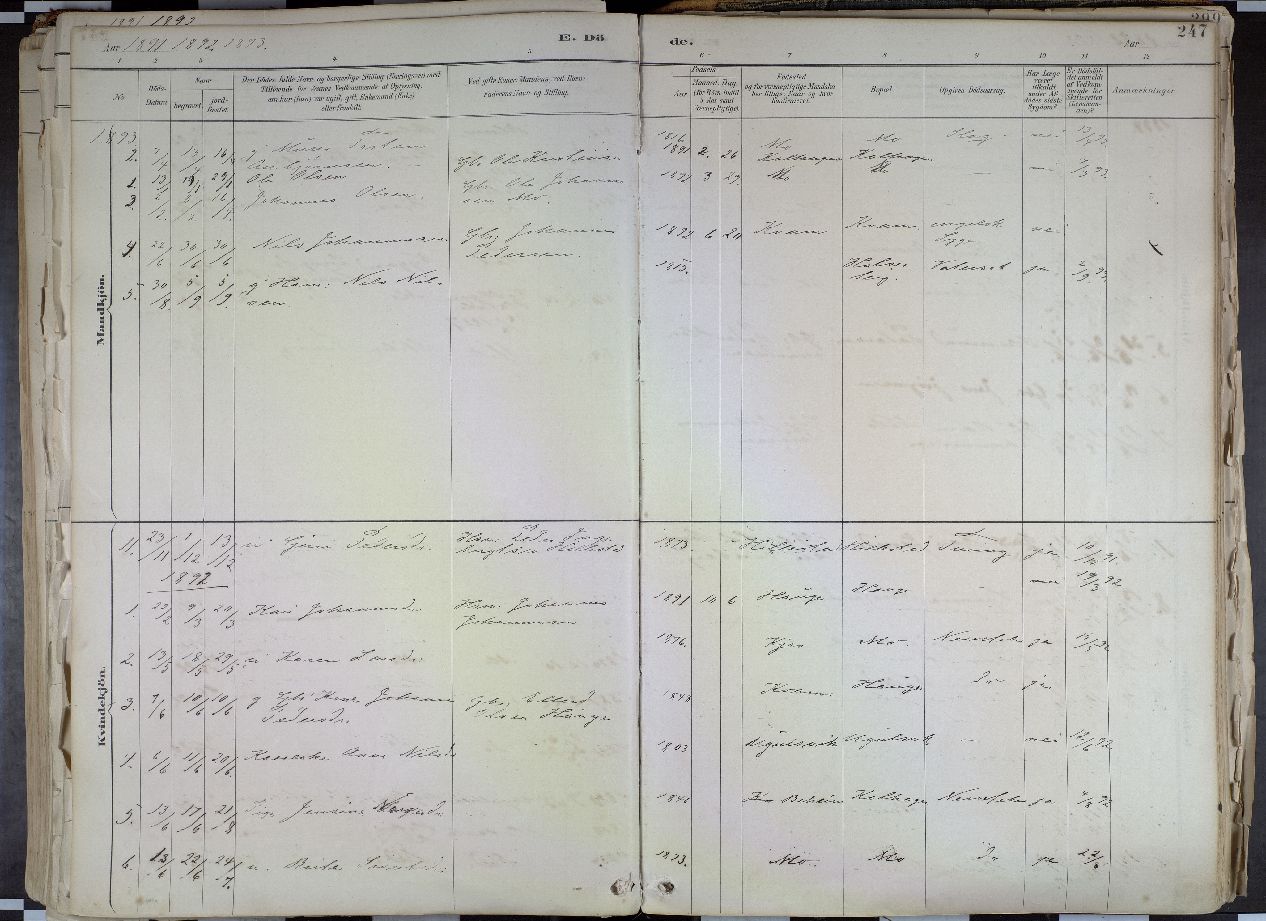 Hafslo sokneprestembete, SAB/A-80301/H/Haa/Haab/L0001: Parish register (official) no. B 1, 1886-1945, p. 247