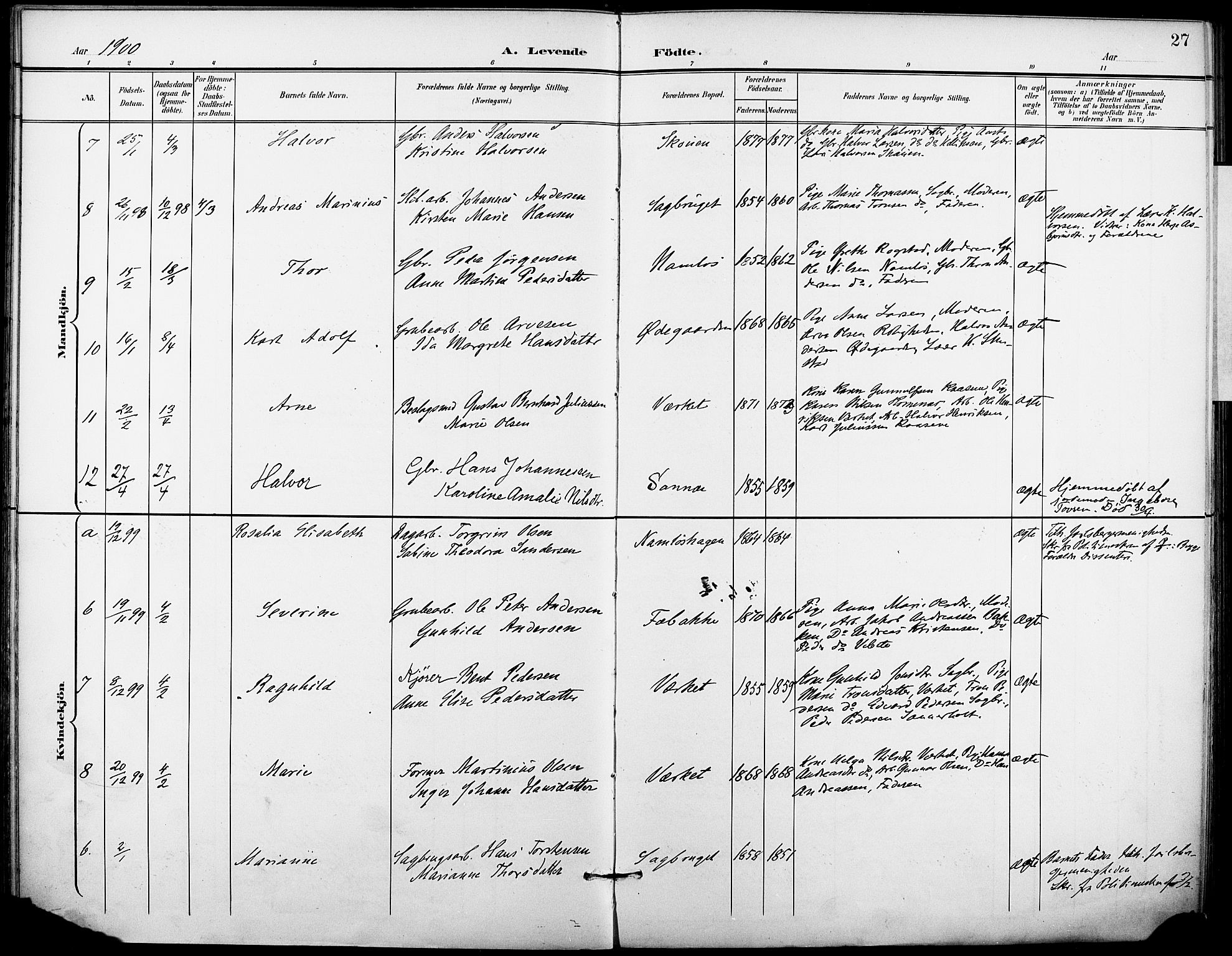 Holla kirkebøker, AV/SAKO-A-272/F/Fa/L0010: Parish register (official) no. 10, 1897-1907, p. 27