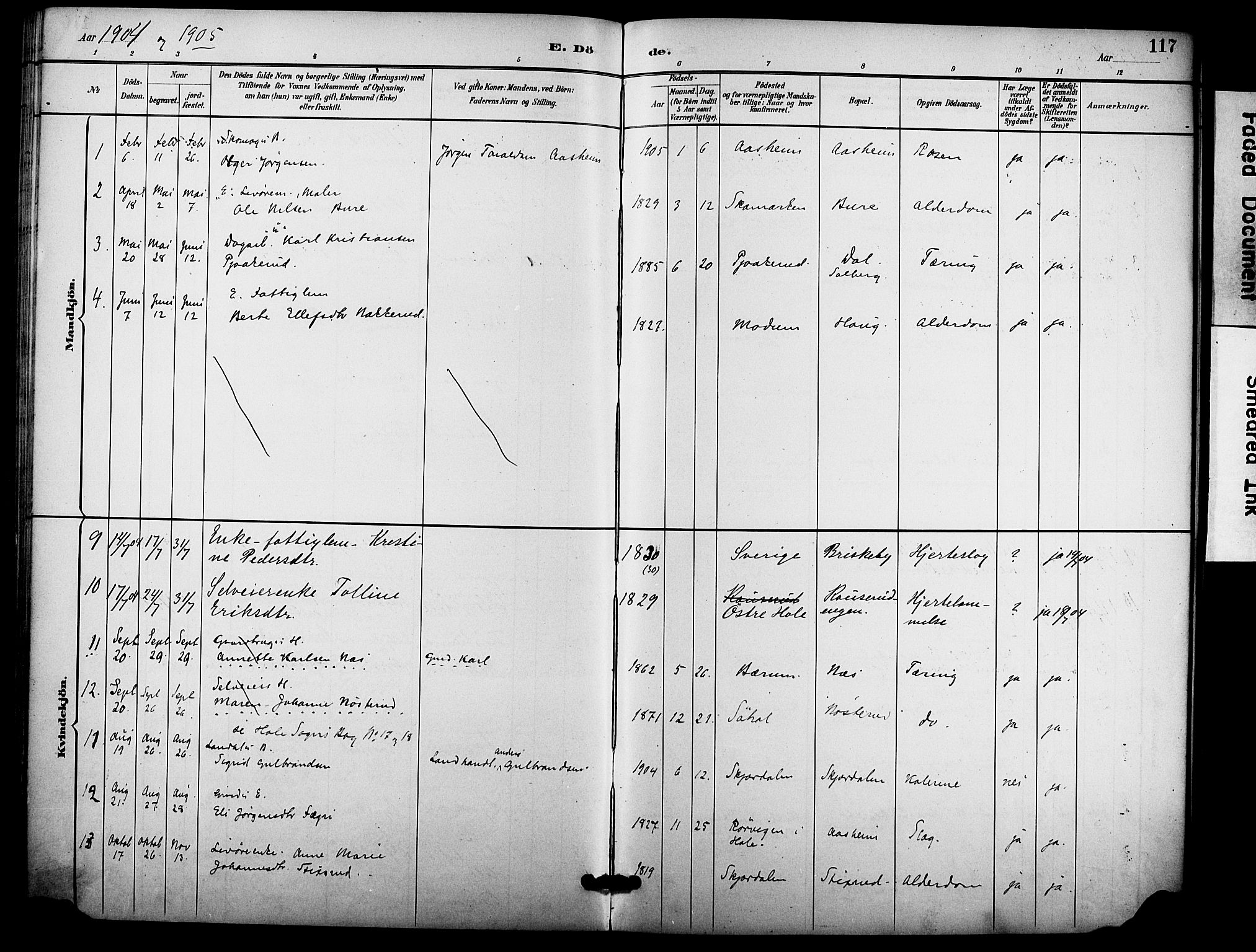 Hole kirkebøker, AV/SAKO-A-228/F/Fb/L0002: Parish register (official) no. II 2, 1892-1906, p. 117