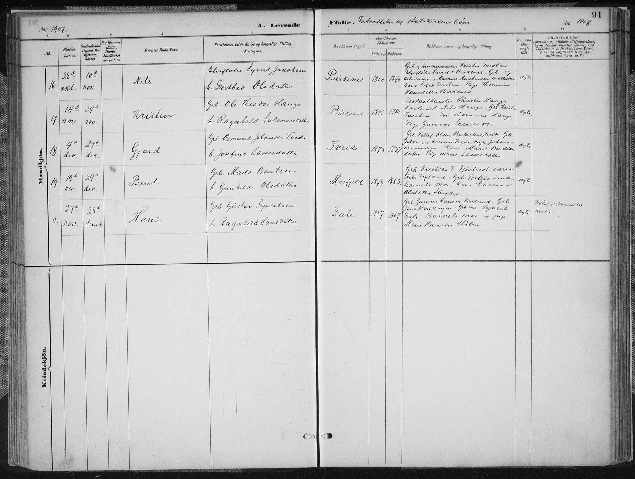 Birkenes sokneprestkontor, SAK/1111-0004/F/Fa/L0005: Parish register (official) no. A 5, 1887-1907, p. 91
