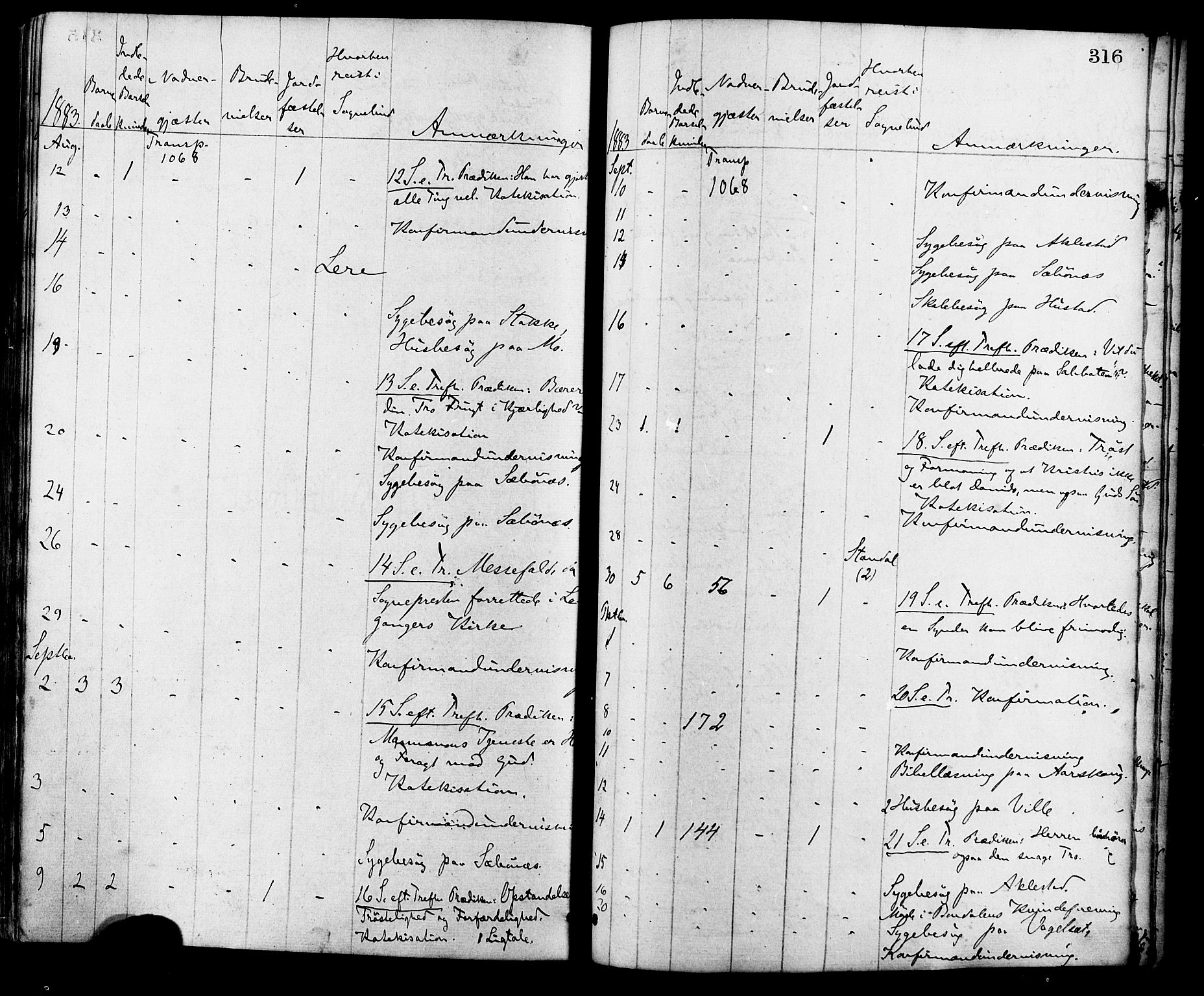 Ministerialprotokoller, klokkerbøker og fødselsregistre - Møre og Romsdal, AV/SAT-A-1454/515/L0210: Parish register (official) no. 515A06, 1868-1885, p. 316