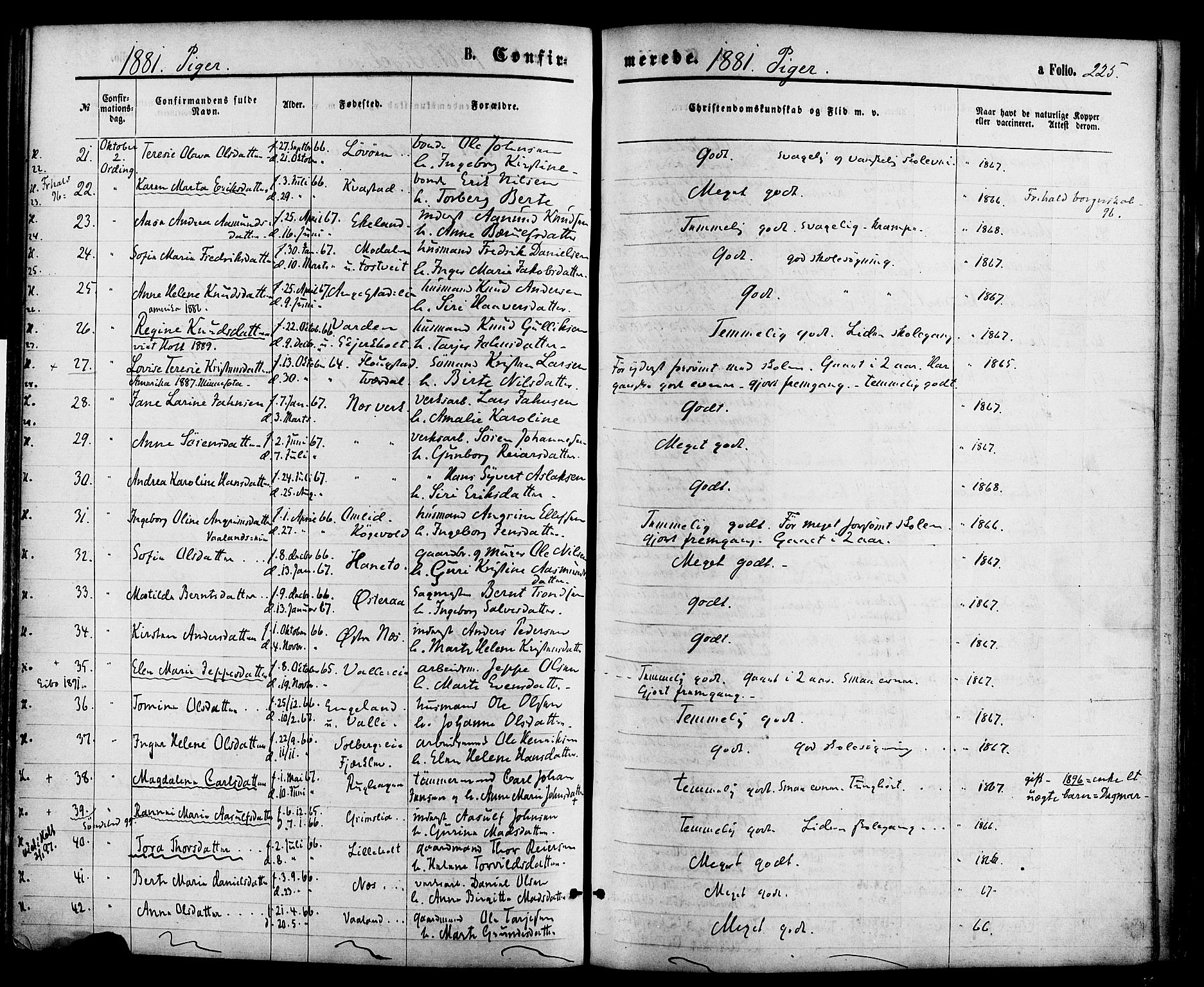 Holt sokneprestkontor, AV/SAK-1111-0021/F/Fa/L0010: Parish register (official) no. A 10, 1872-1885, p. 225