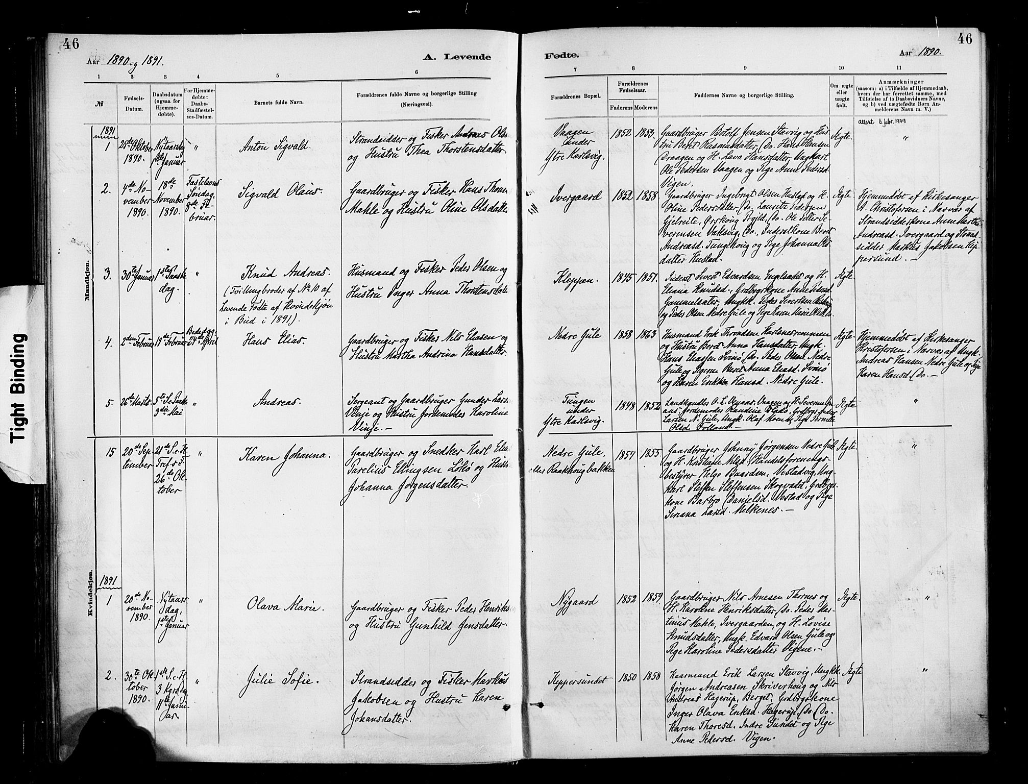 Ministerialprotokoller, klokkerbøker og fødselsregistre - Møre og Romsdal, SAT/A-1454/566/L0769: Parish register (official) no. 566A08, 1881-1903, p. 46