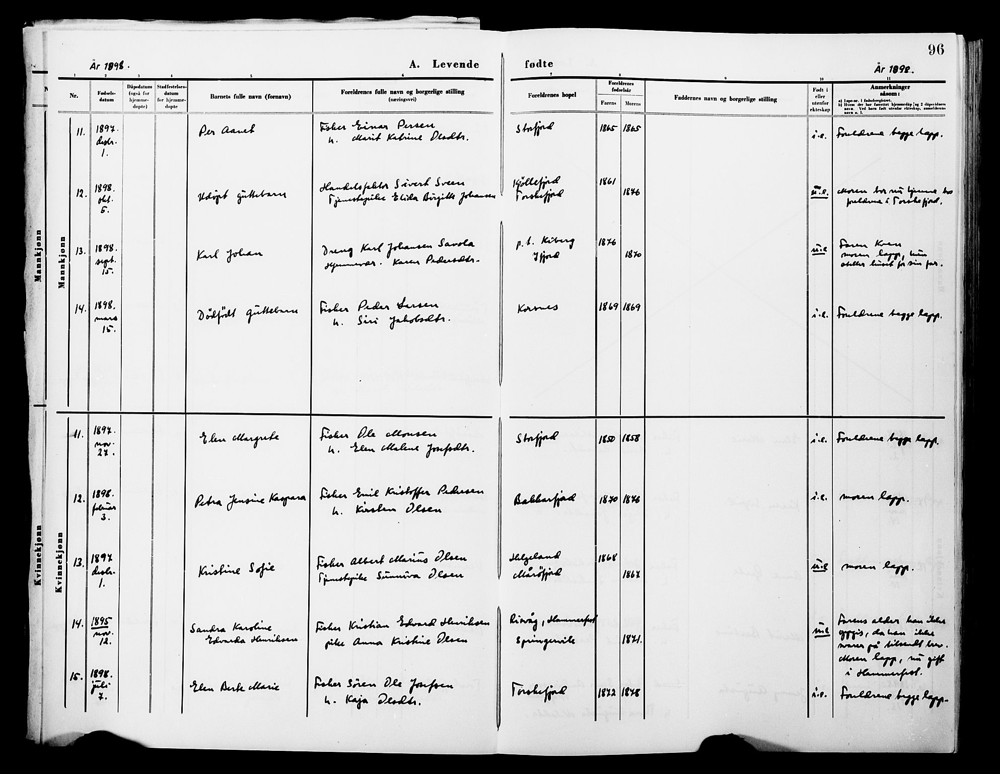 Lebesby sokneprestkontor, AV/SATØ-S-1353/H/Ha/L0004kirke: Parish register (official) no. 4, 1870-1902, p. 96