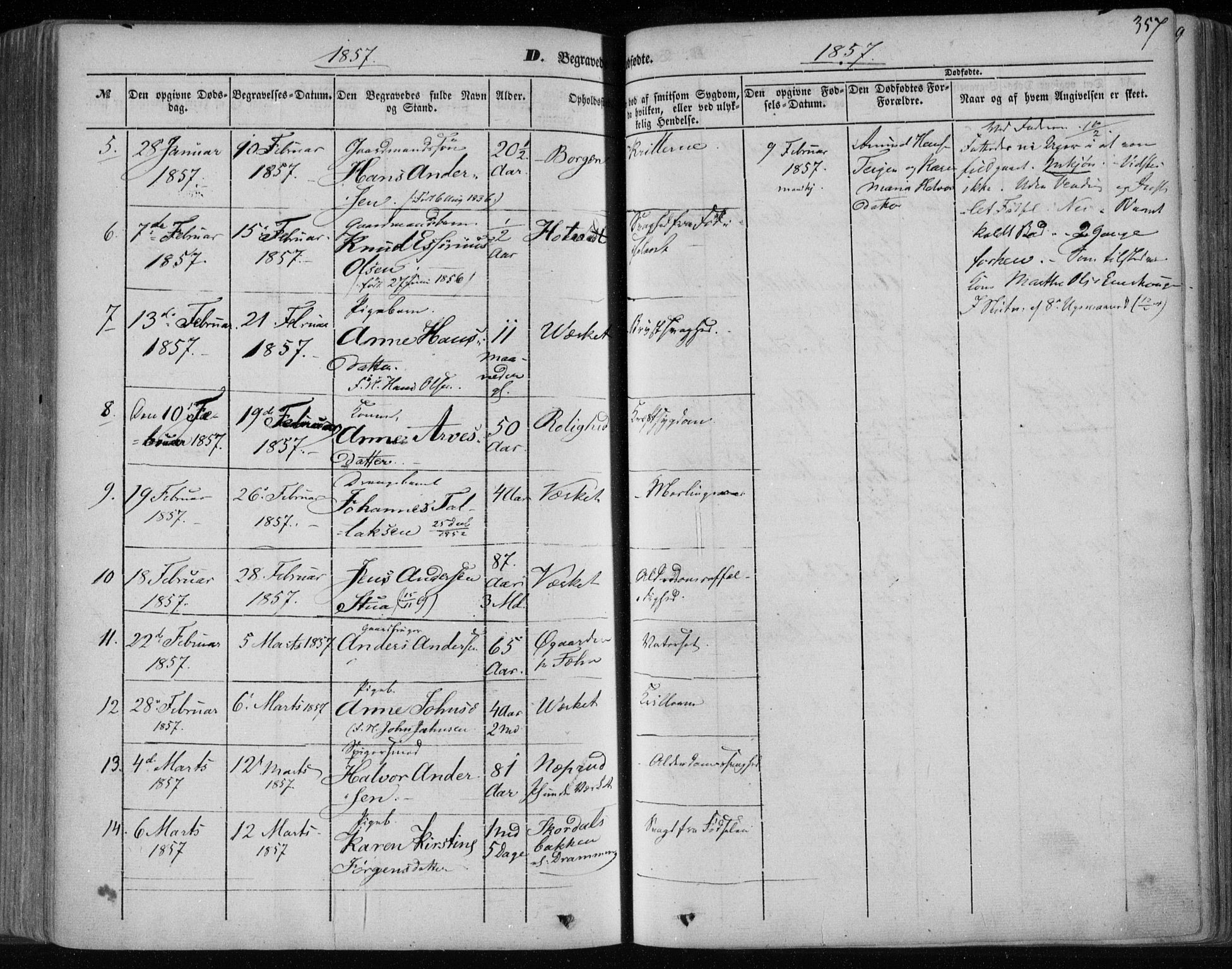 Holla kirkebøker, AV/SAKO-A-272/F/Fa/L0005: Parish register (official) no. 5, 1849-1860, p. 357