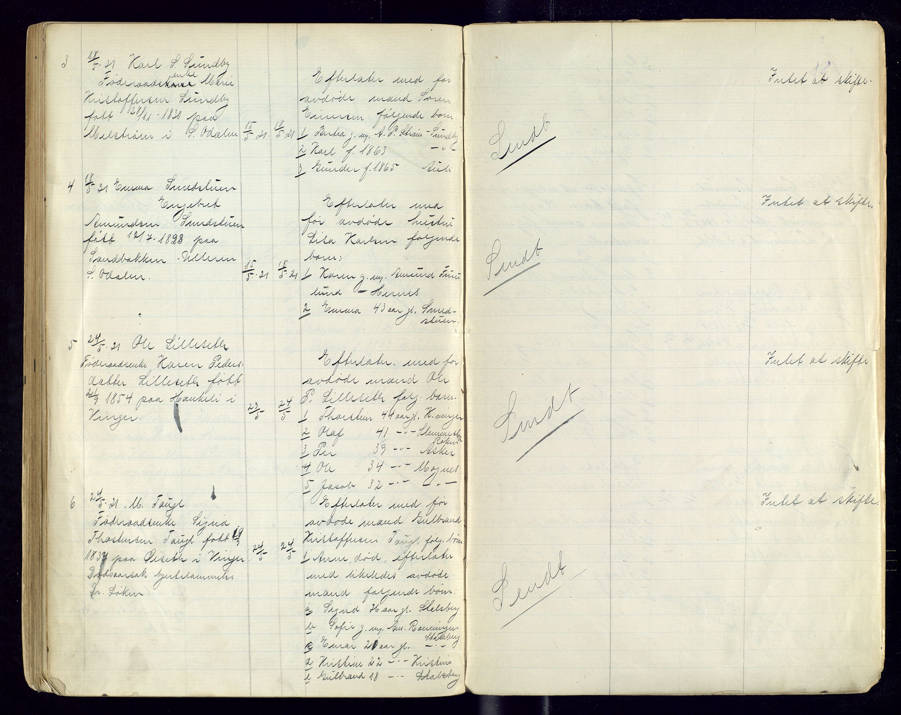 Sør-Odal lensmannskontor, AV/SAH-LHS-022/H/Hb/L0002/0002: Protokoller over anmeldte dødsfall / Protokoll over anmeldte dødsfall, 1915-1921