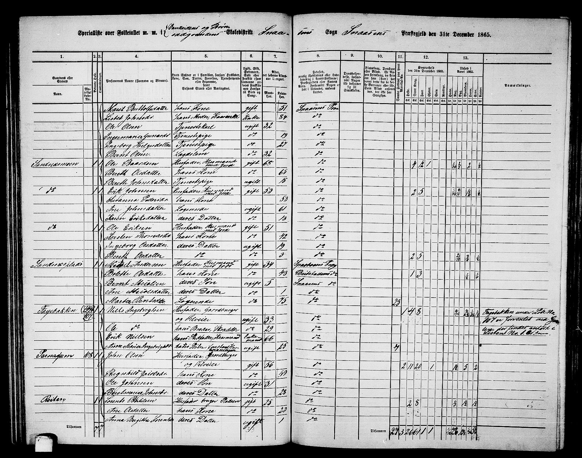 RA, 1865 census for Snåsa, 1865, p. 65