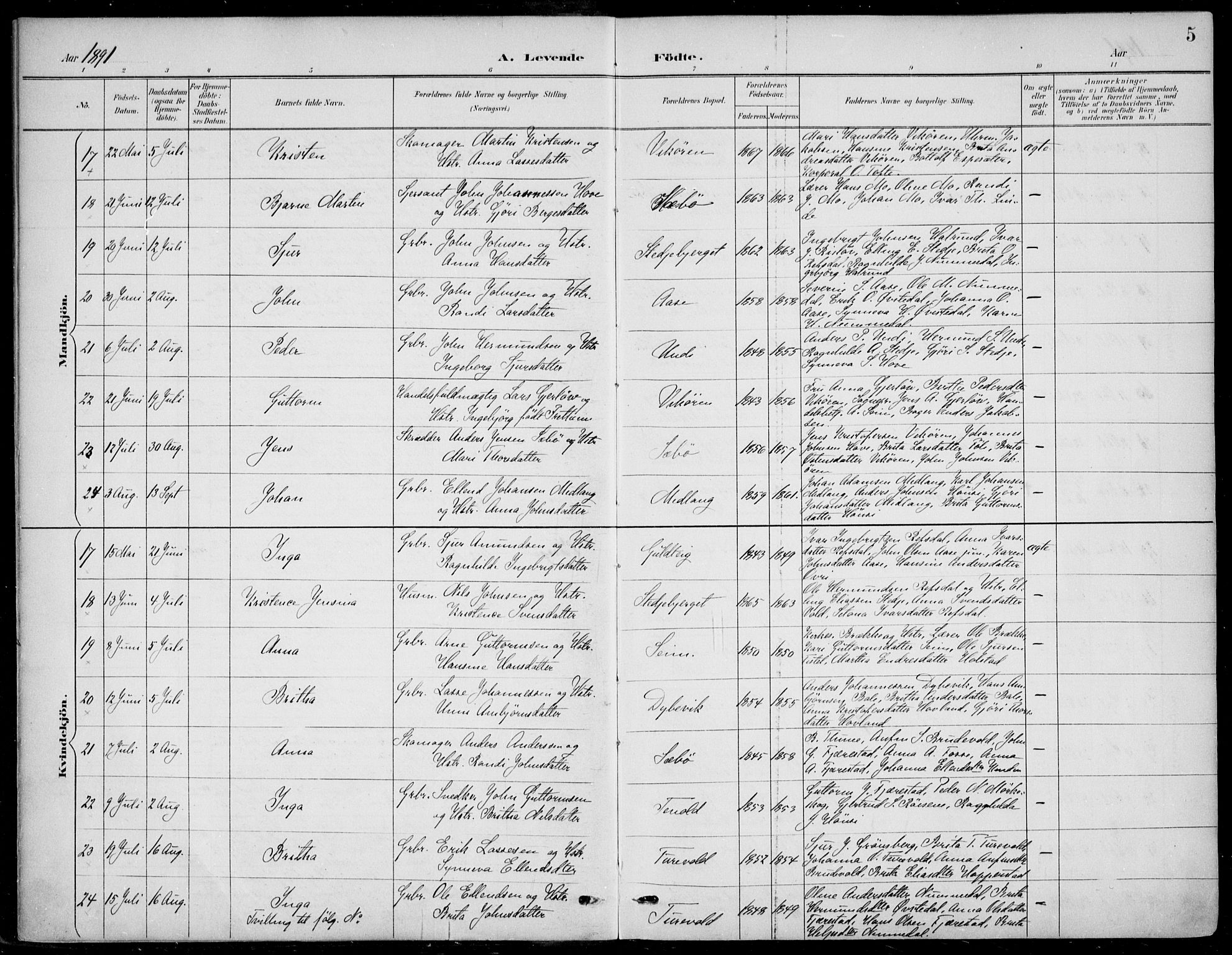 Vik sokneprestembete, AV/SAB-A-81501/H/Haa/Haab/L0002: Parish register (official) no. B  2, 1891-1907, p. 5