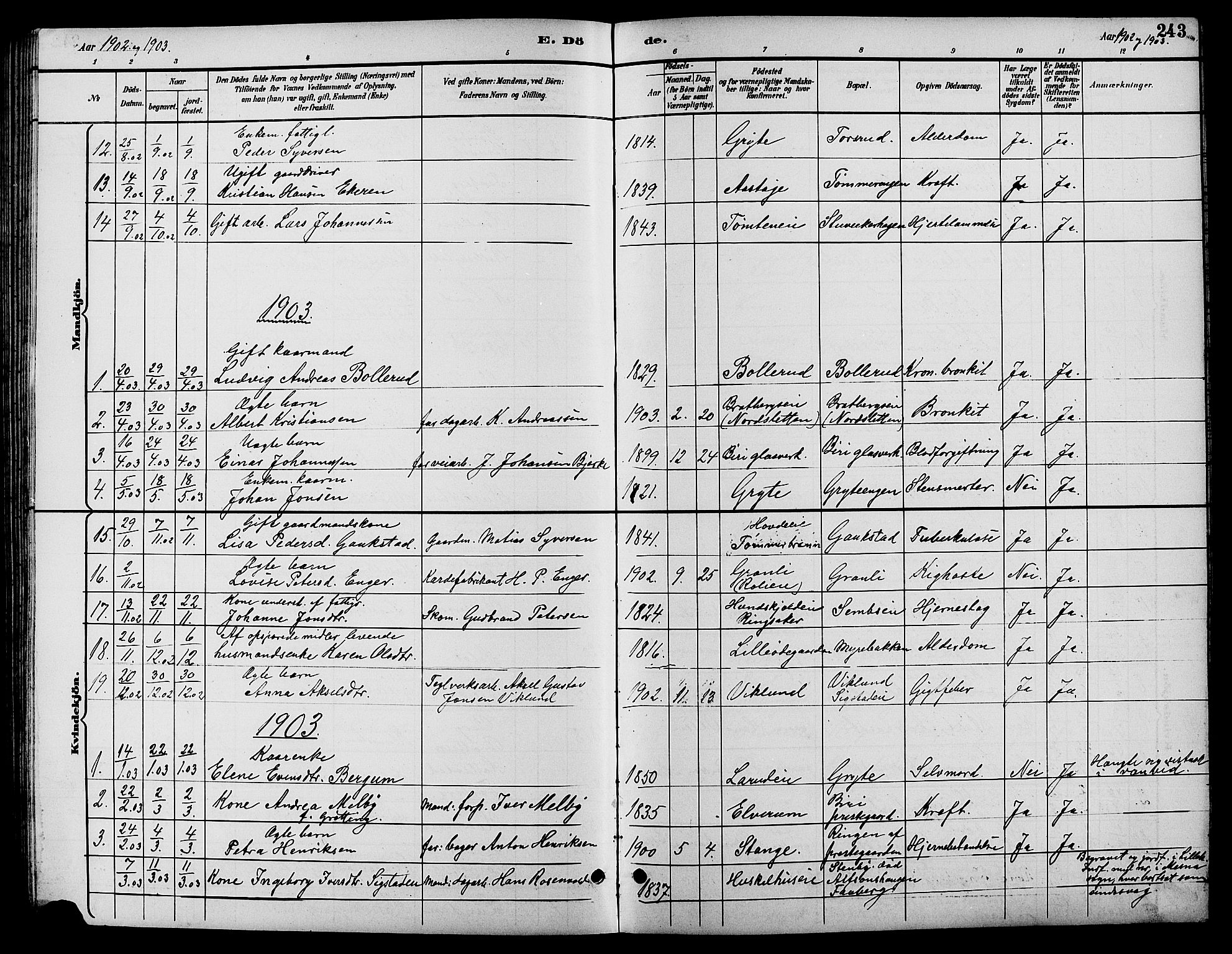Biri prestekontor, SAH/PREST-096/H/Ha/Hab/L0004: Parish register (copy) no. 4, 1892-1909, p. 243