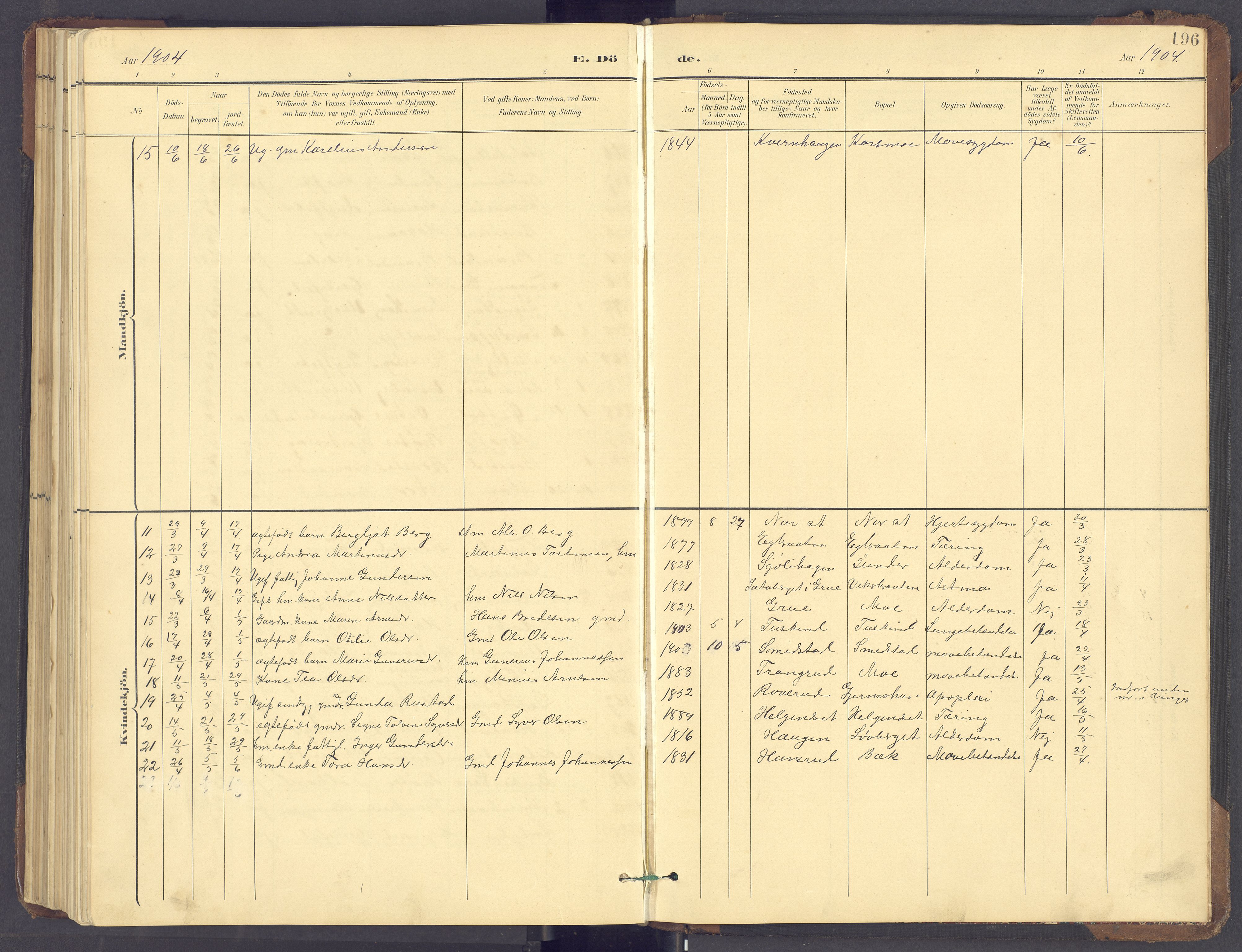 Brandval prestekontor, AV/SAH-PREST-034/H/Ha/Hab/L0002: Parish register (copy) no. 2, 1895-1904, p. 196