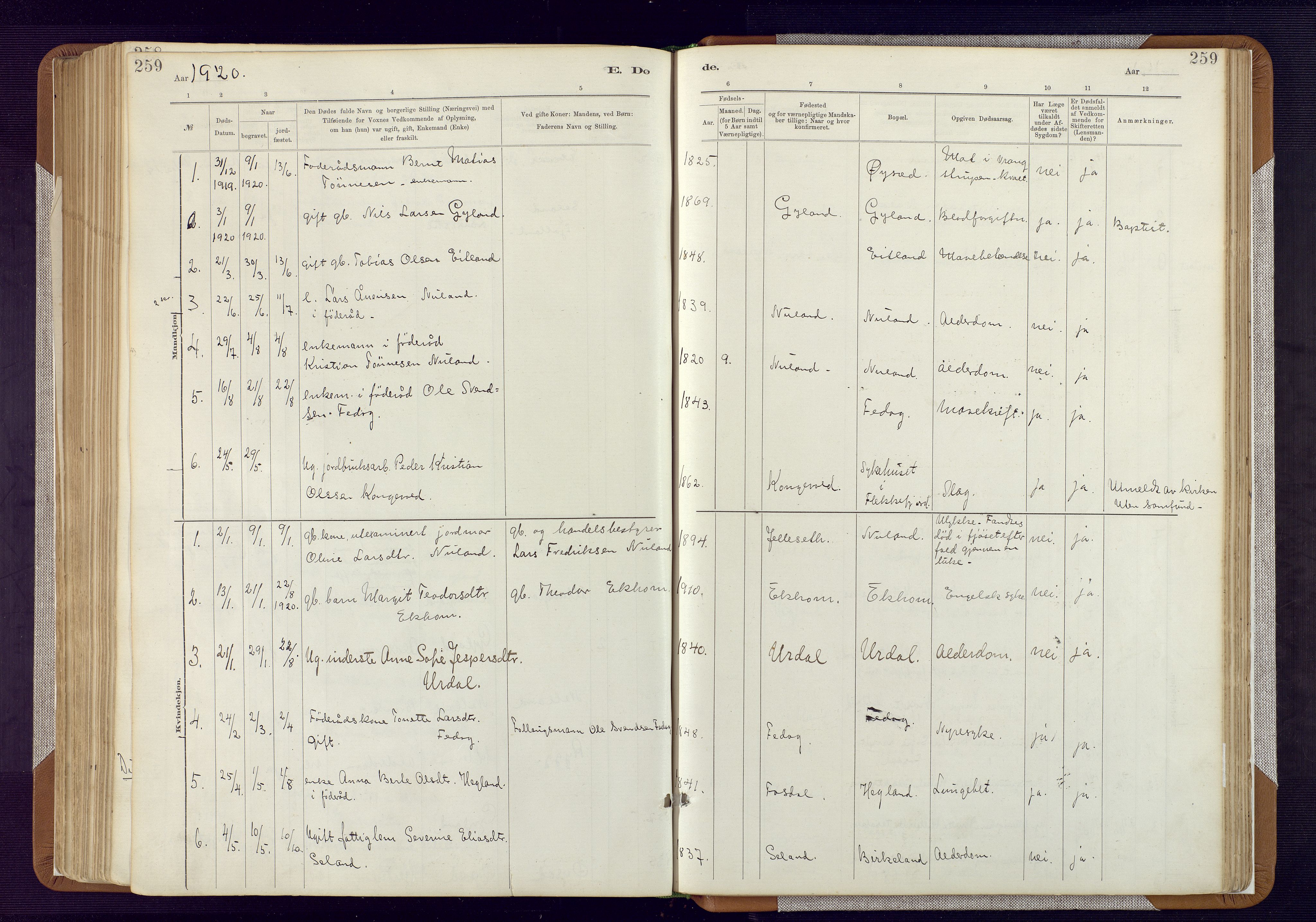Bakke sokneprestkontor, SAK/1111-0002/F/Fa/Fab/L0003: Parish register (official) no. A 3, 1884-1921, p. 259