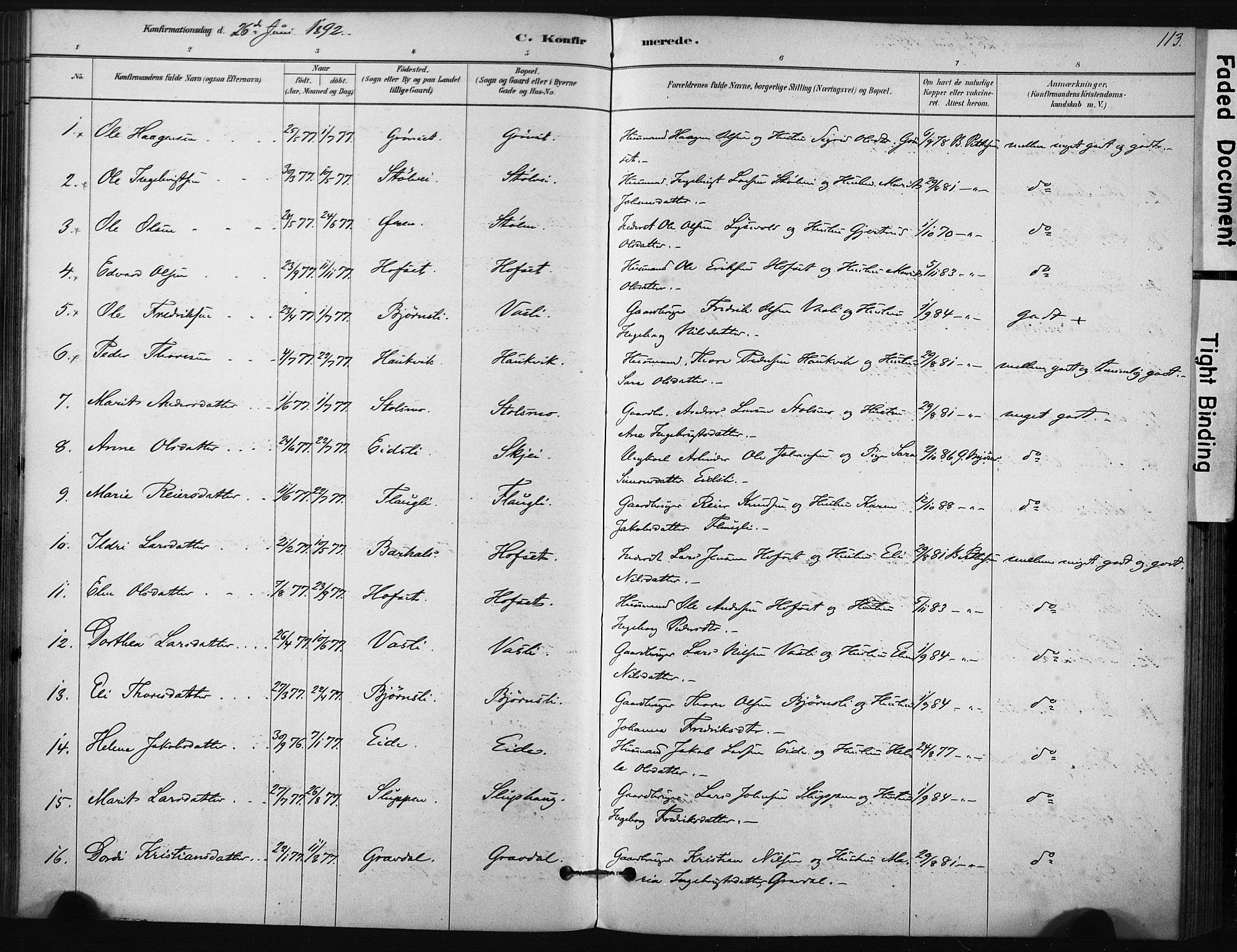 Ministerialprotokoller, klokkerbøker og fødselsregistre - Sør-Trøndelag, AV/SAT-A-1456/631/L0512: Parish register (official) no. 631A01, 1879-1912, p. 113