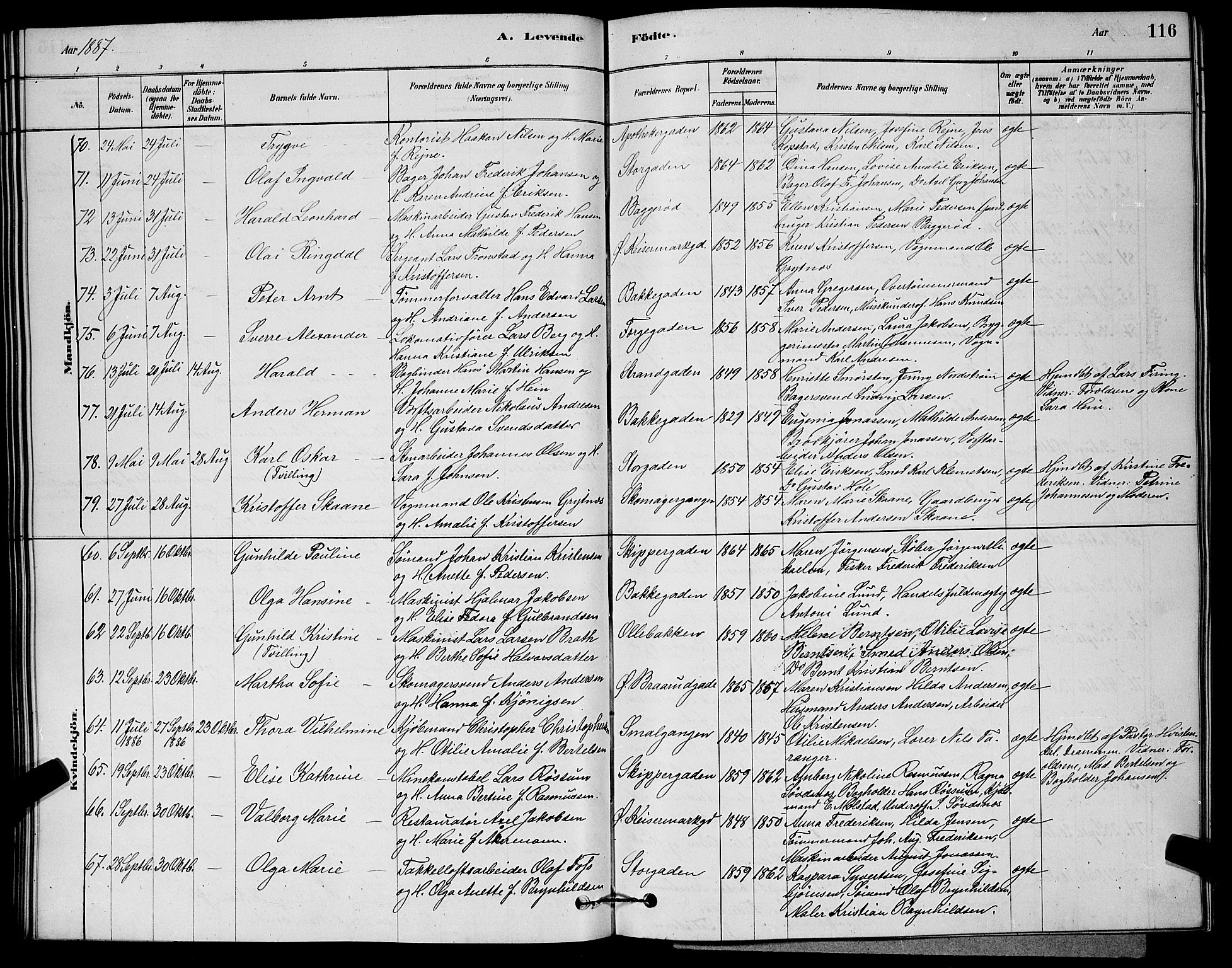 Horten kirkebøker, SAKO/A-348/G/Ga/L0003: Parish register (copy) no. 4, 1878-1887, p. 116