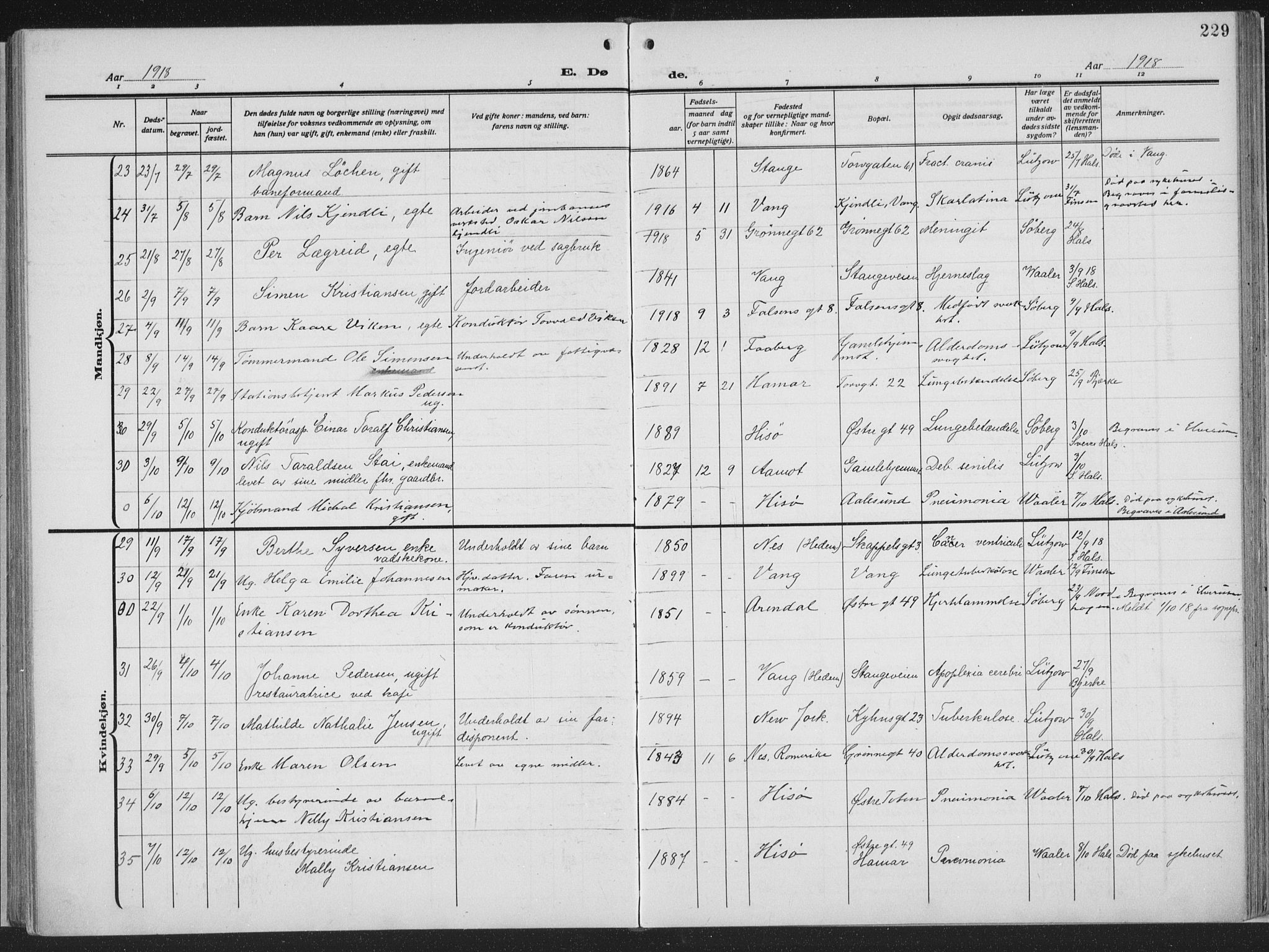 Hamar prestekontor, SAH/DOMPH-002/H/Ha/Haa/L0002: Parish register (official) no. 2, 1915-1936, p. 229