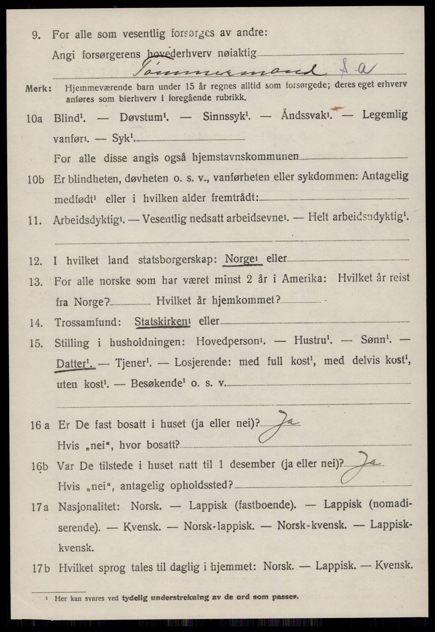 SAT, 1920 census for Hemne, 1920, p. 3987