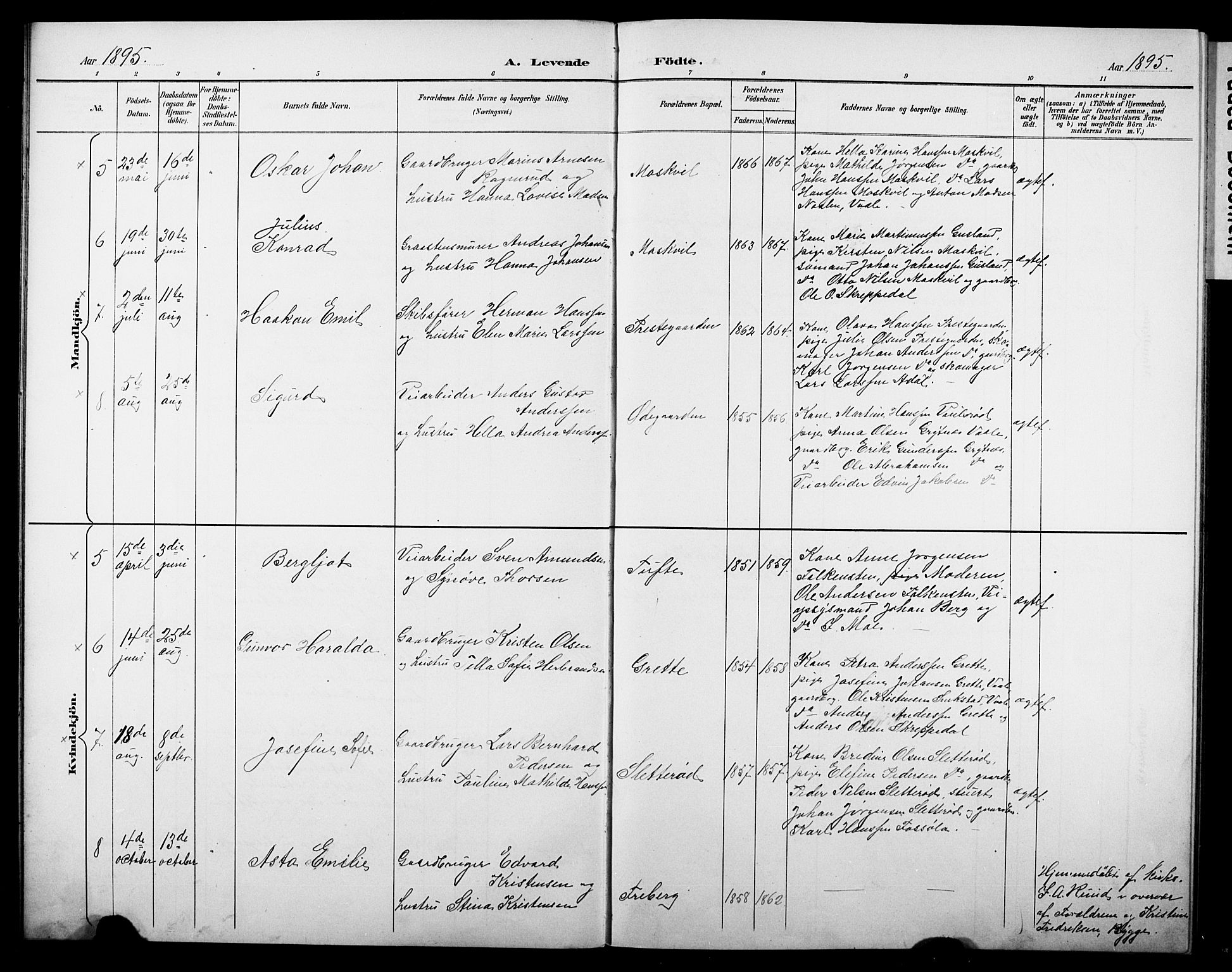 Borre kirkebøker, AV/SAKO-A-338/G/Gb/L0003: Parish register (copy) no. II 3, 1893-1905