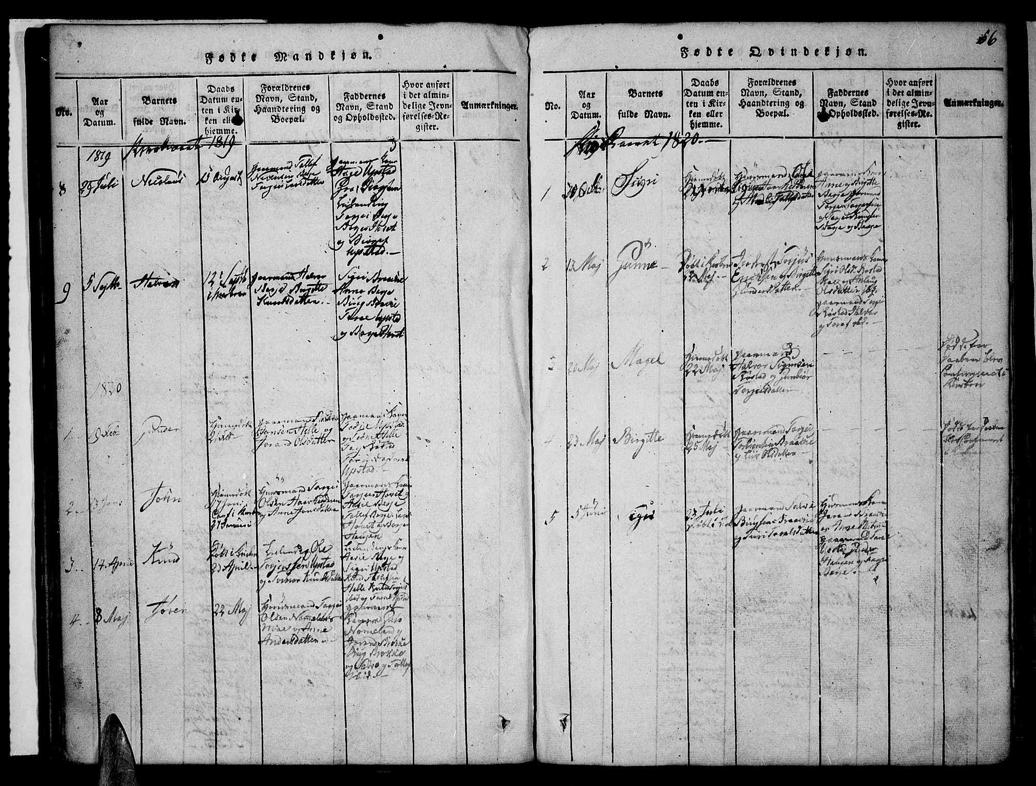 Valle sokneprestkontor, SAK/1111-0044/F/Fb/Fbc/L0001: Parish register (copy) no. B 1 /2, 1816-1829, p. 56