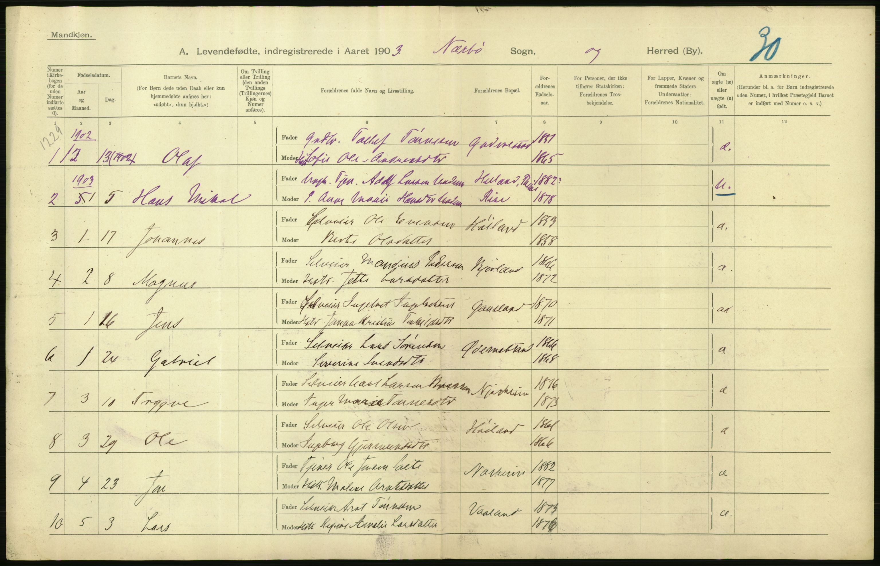 Statistisk sentralbyrå, Sosiodemografiske emner, Befolkning, AV/RA-S-2228/D/Df/Dfa/Dfaa/L0012: Stavanger amt: Fødte, gifte, døde, 1903, p. 48