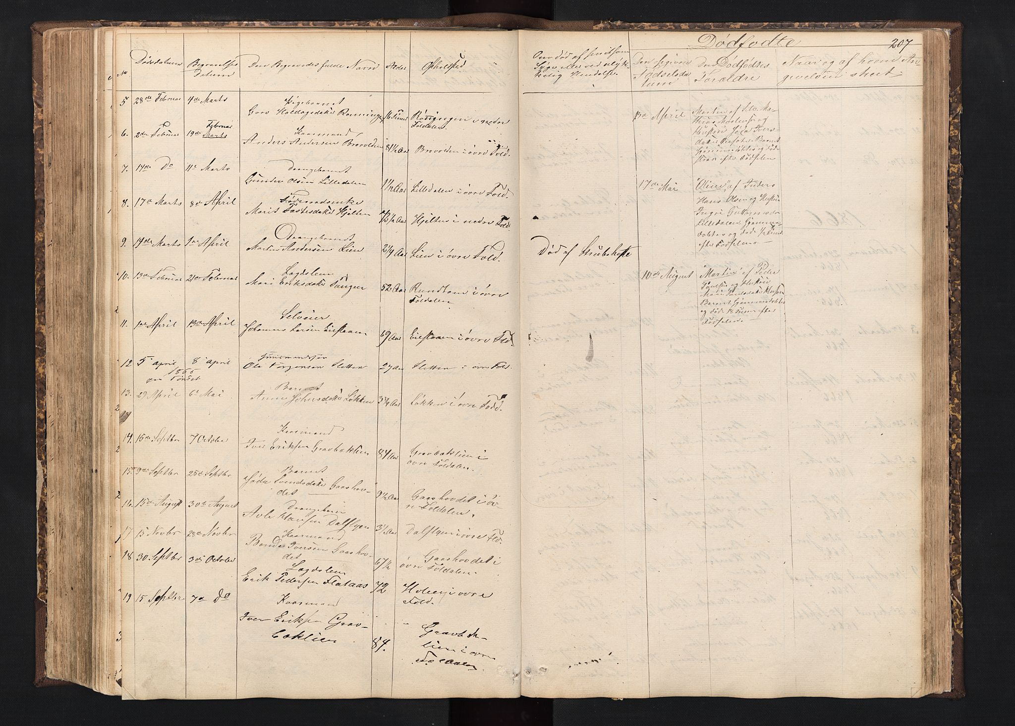 Alvdal prestekontor, AV/SAH-PREST-060/H/Ha/Hab/L0001: Parish register (copy) no. 1, 1857-1893, p. 207