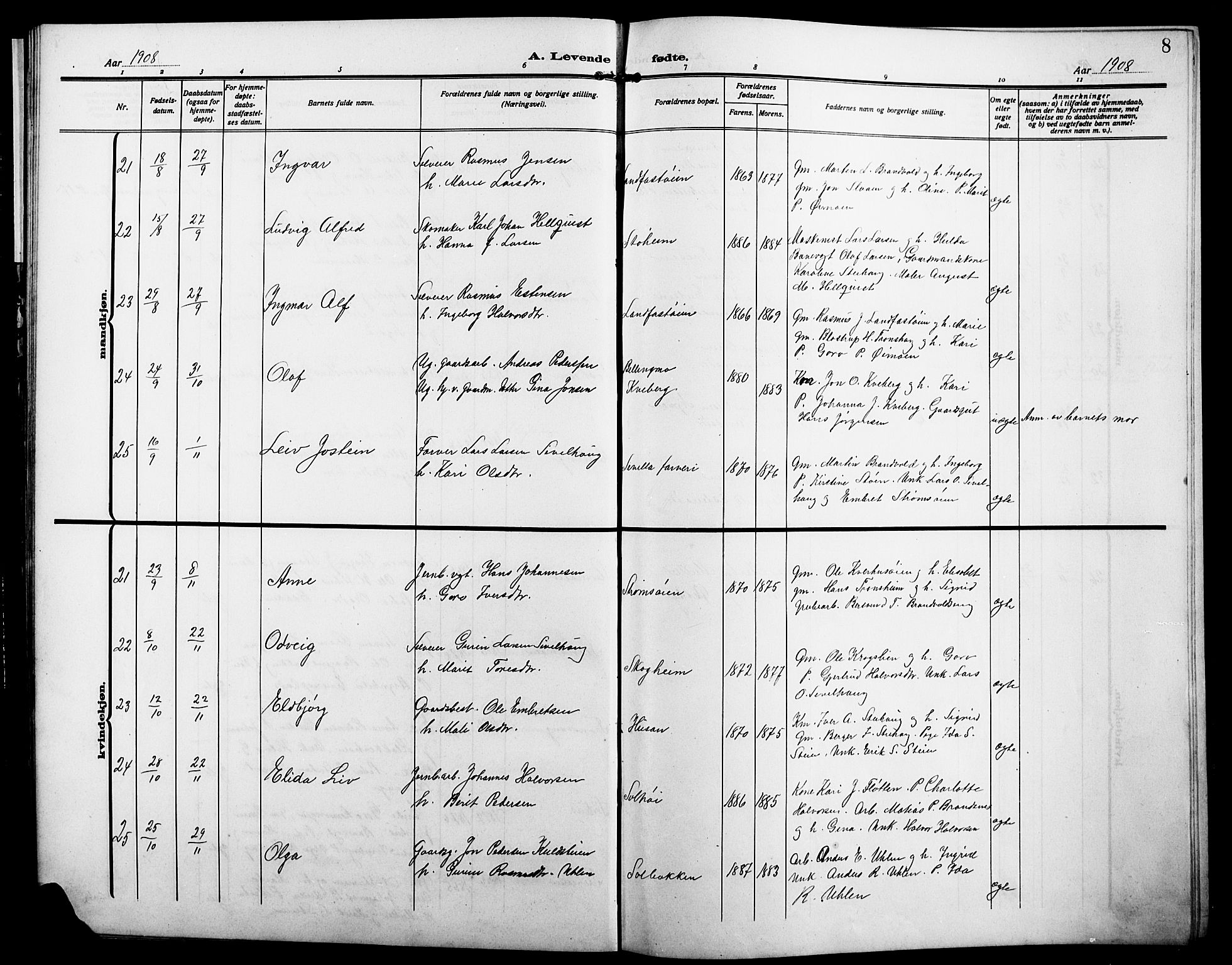 Alvdal prestekontor, AV/SAH-PREST-060/H/Ha/Hab/L0005: Parish register (copy) no. 5, 1908-1923, p. 8