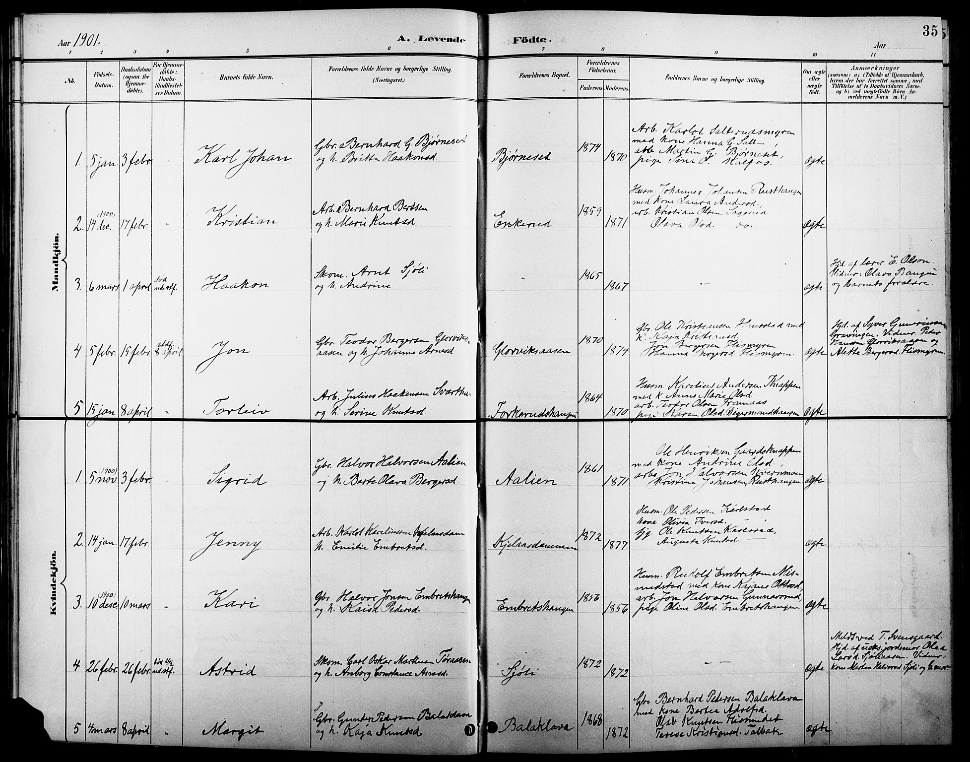 Åsnes prestekontor, AV/SAH-PREST-042/H/Ha/Hab/L0005: Parish register (copy) no. 5, 1895-1920, p. 35