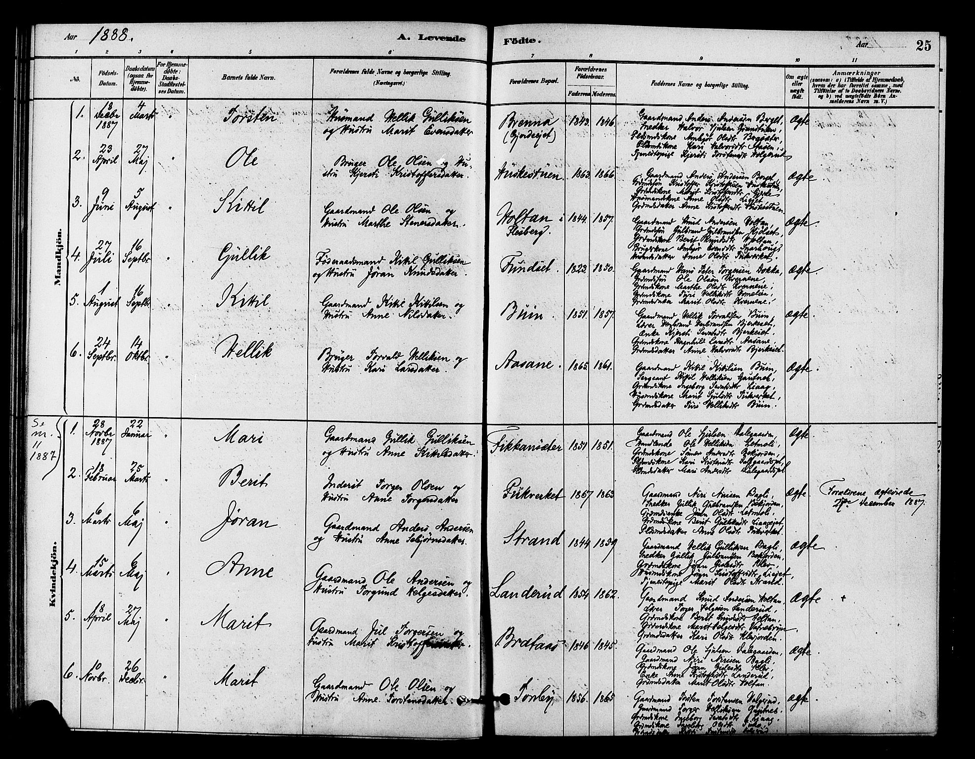 Flesberg kirkebøker, SAKO/A-18/F/Fc/L0001: Parish register (official) no. III 1, 1879-1905, p. 25